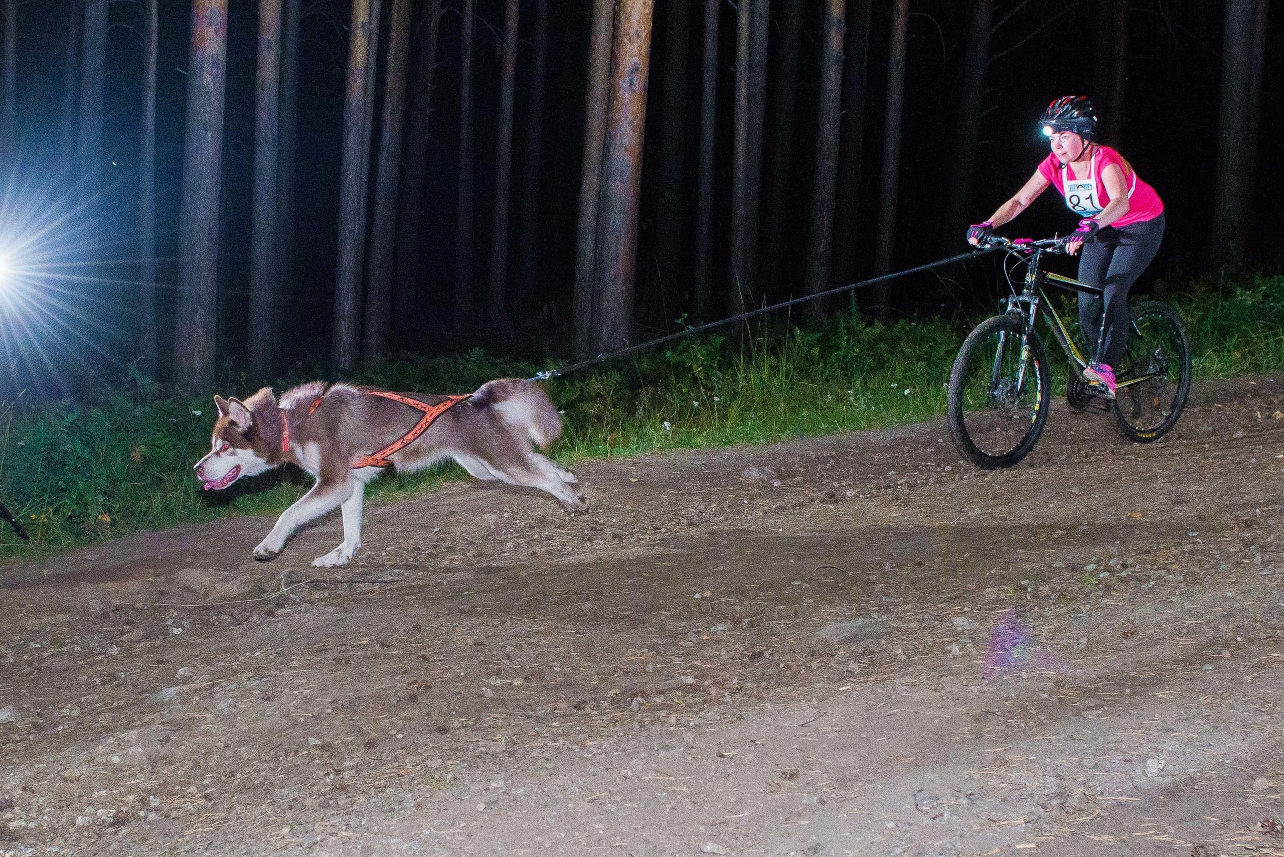 Дог-фестиваль 02.09.2017 Уктус Ночной след. Свадебный фотограф на Урале Виктор Соколов