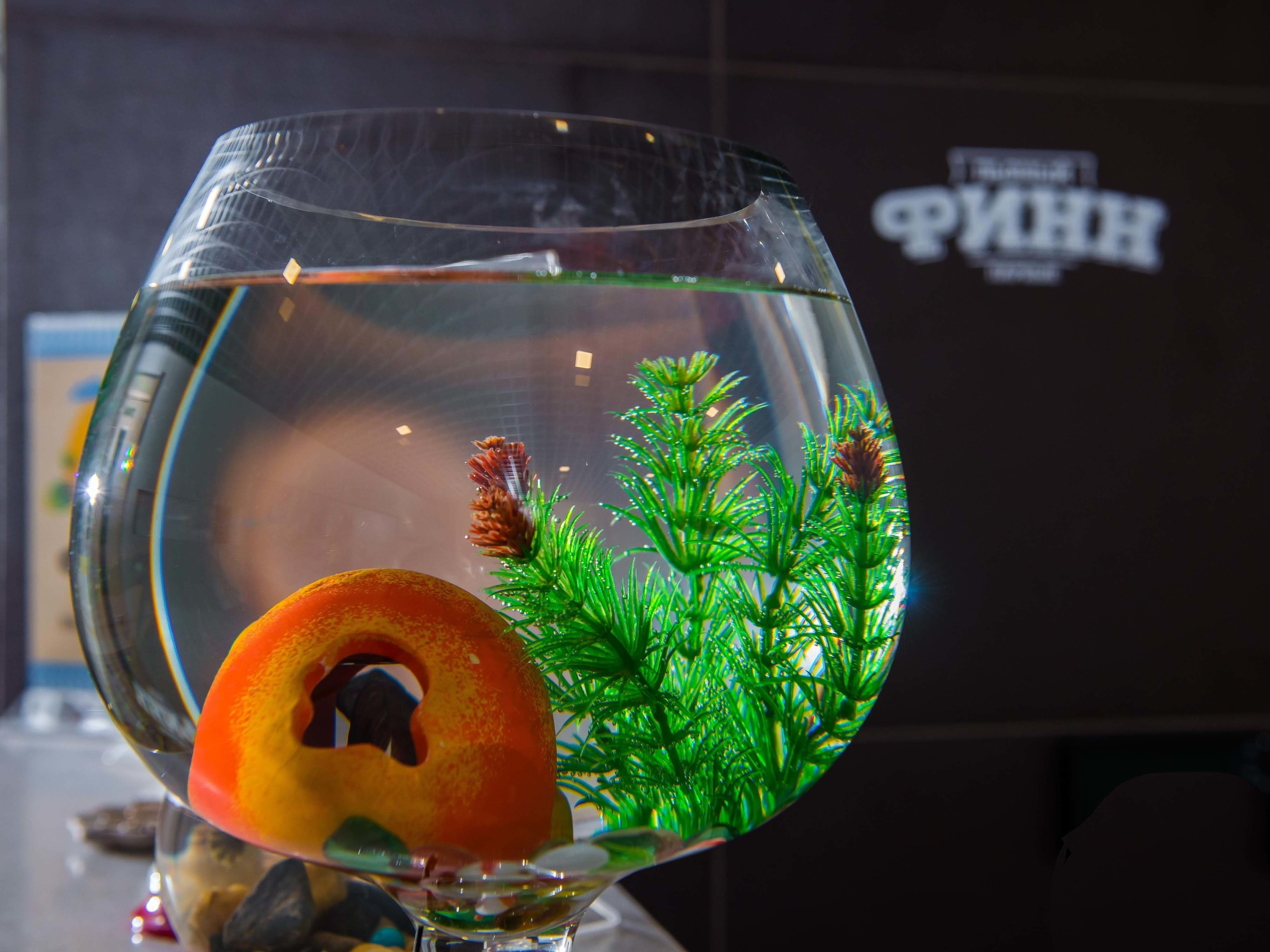 Пьяный финн. Свадебный фотограф на Урале Виктор Соколов