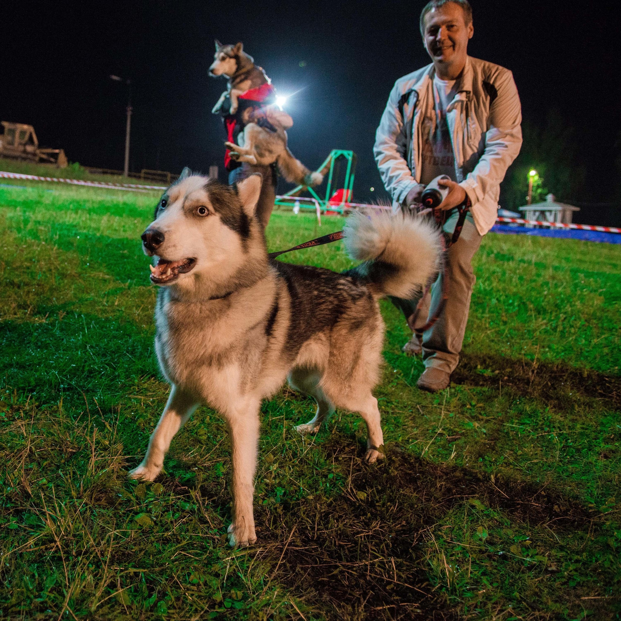 Дог-фестиваль 02.09.2017 Уктус Ночной след. Свадебный фотограф на Урале Виктор Соколов