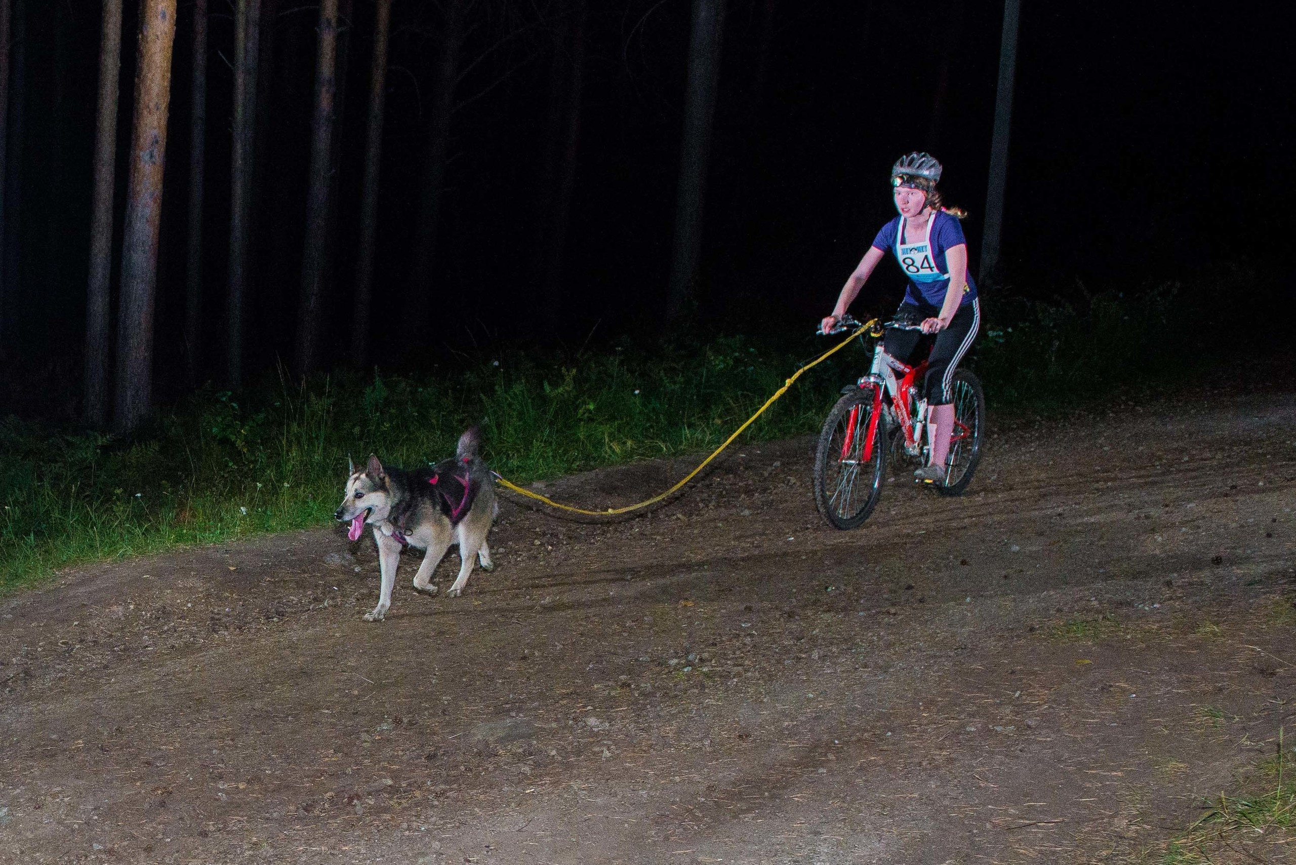 Дог-фестиваль 02.09.2017 Уктус Ночной след. Свадебный фотограф на Урале Виктор Соколов