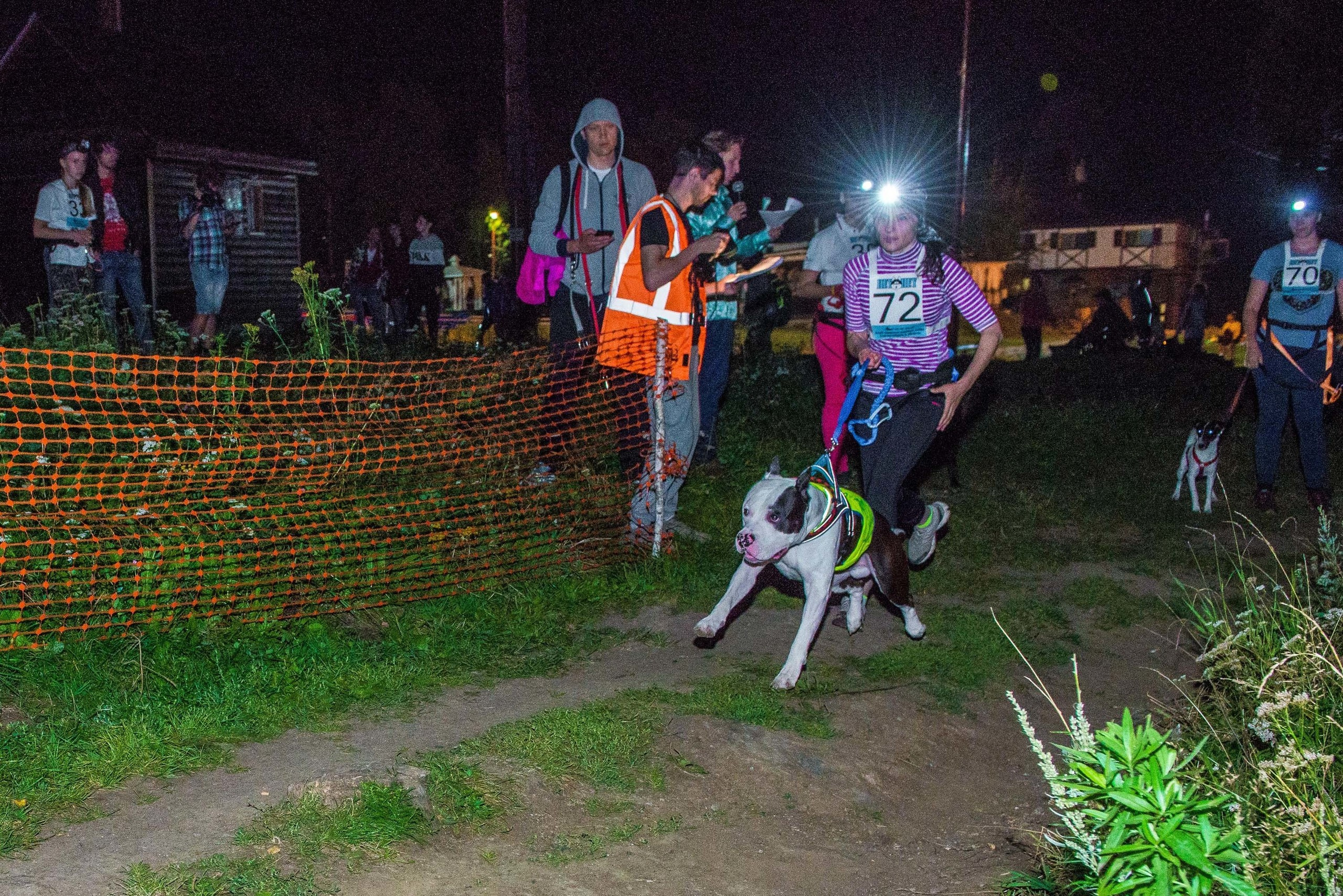 Дог-фестиваль 02.09.2017 Уктус Ночной след. Свадебный фотограф на Урале Виктор Соколов
