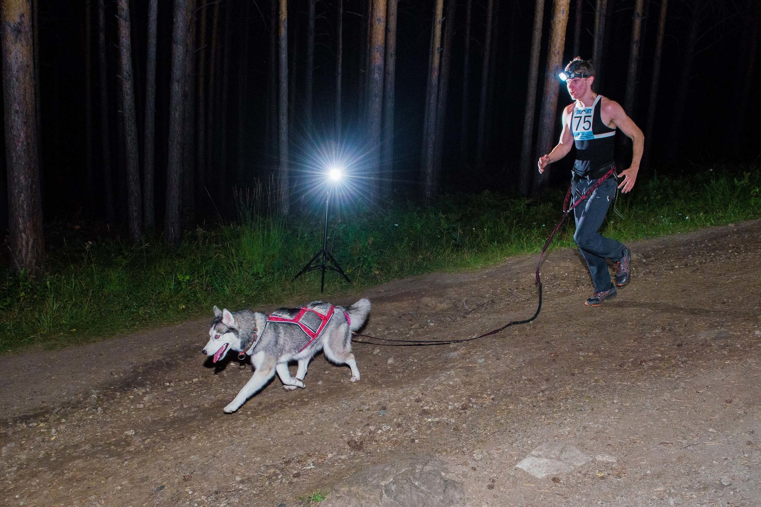 Дог-фестиваль 02.09.2017 Уктус Ночной след. Свадебный фотограф на Урале Виктор Соколов