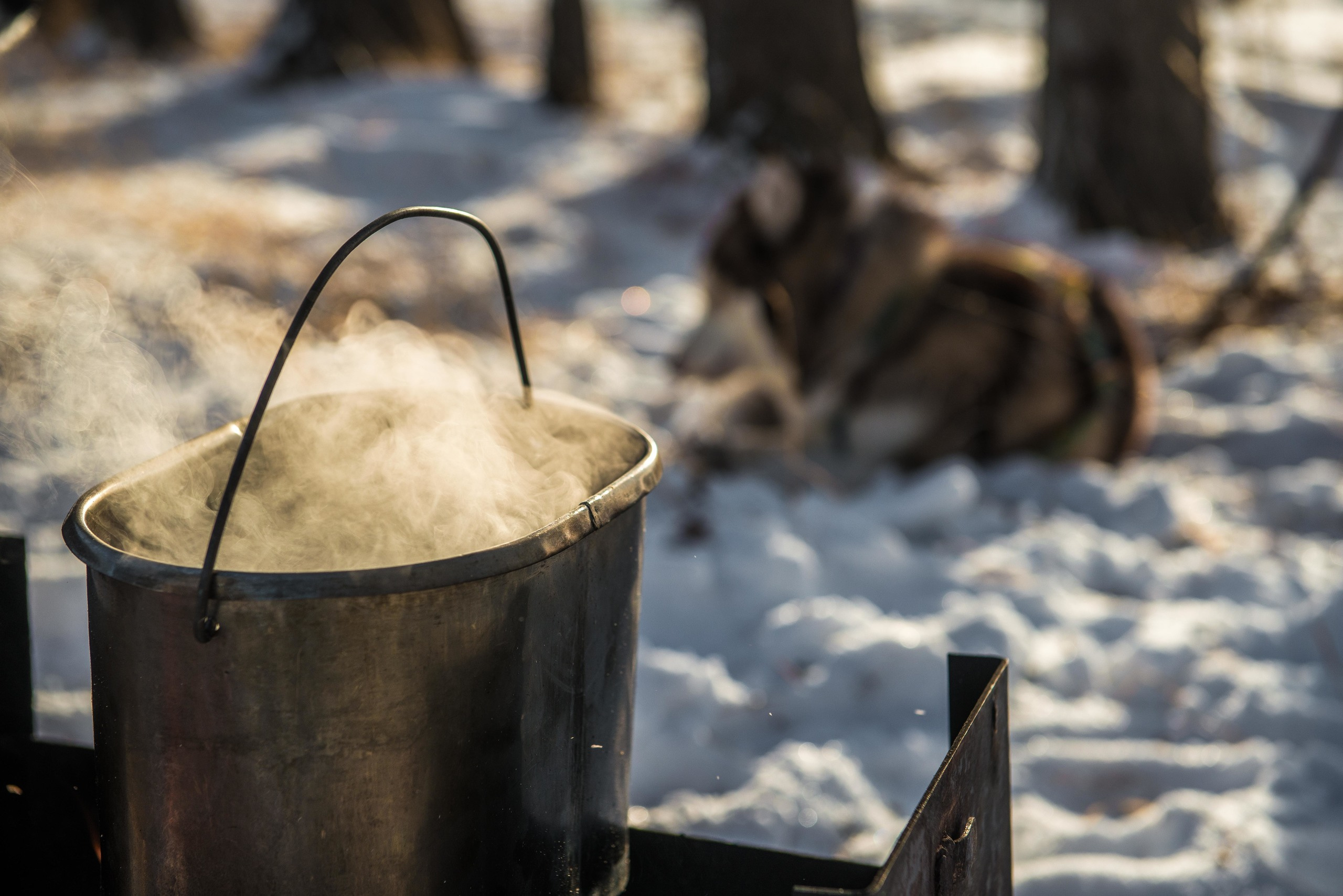 10 лет клубу Хэй-Хэй. Свадебный фотограф на Урале Виктор Соколов