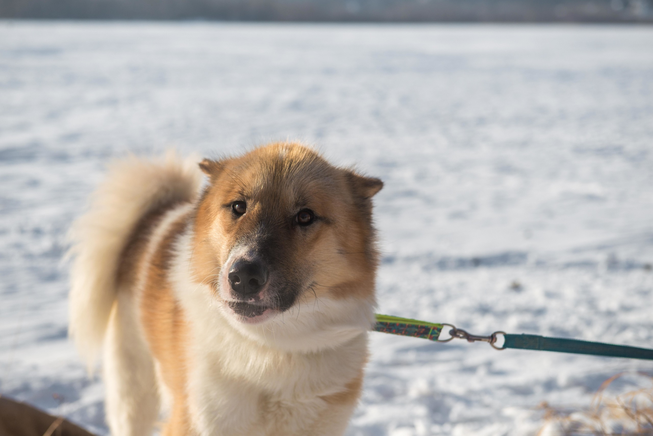 10 лет клубу Хэй-Хэй. Свадебный фотограф на Урале Виктор Соколов