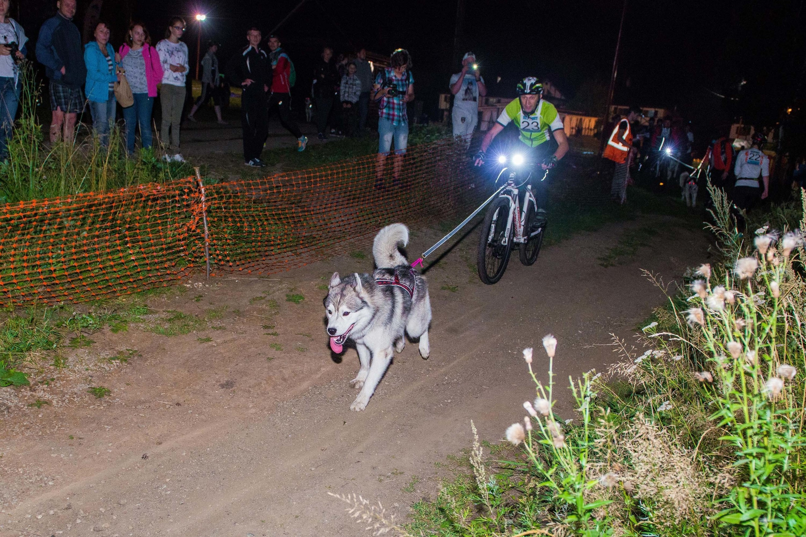 Дог-фестиваль 02.09.2017 Уктус Ночной след. Свадебный фотограф на Урале Виктор Соколов