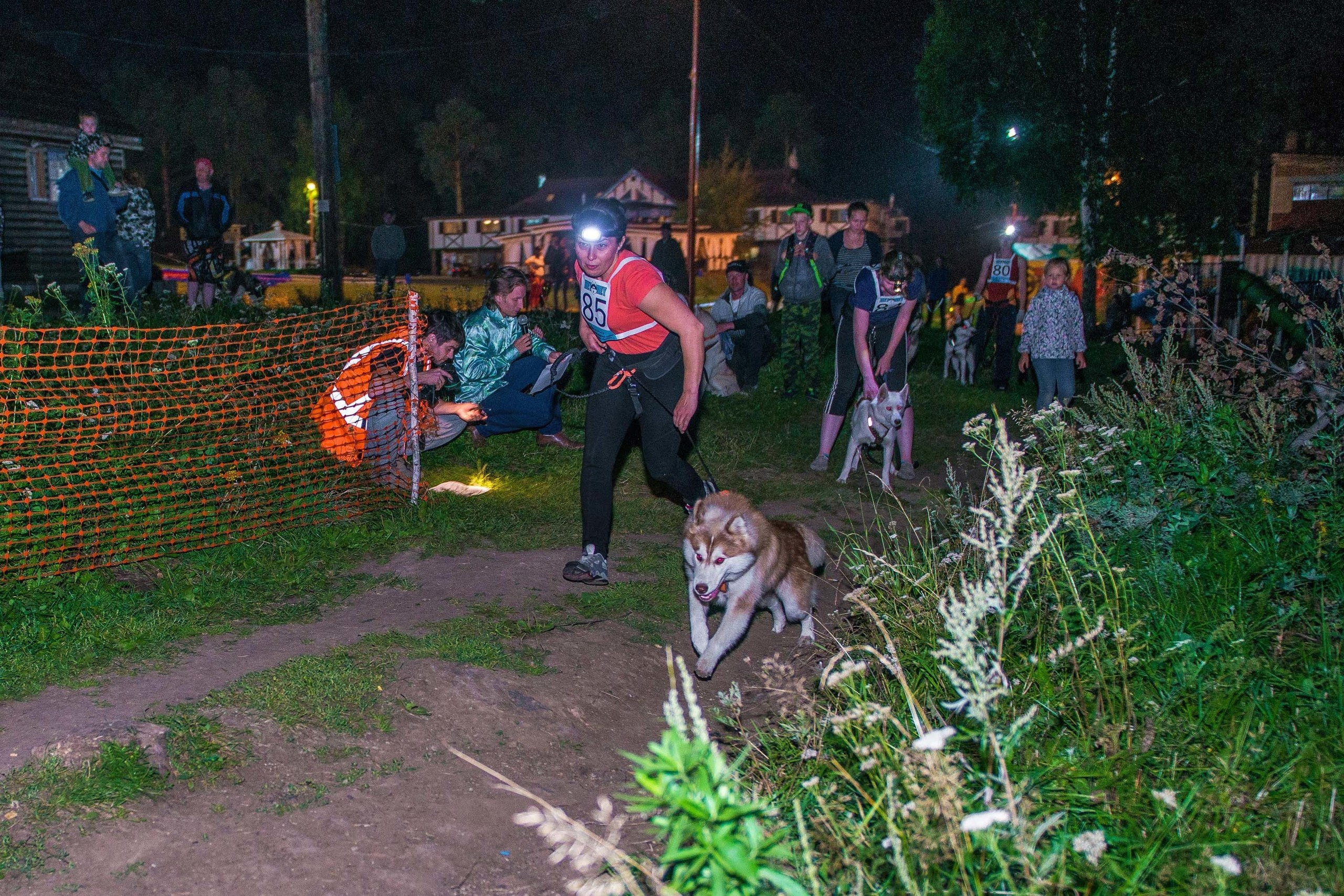Дог-фестиваль 02.09.2017 Уктус Ночной след. Свадебный фотограф на Урале Виктор Соколов