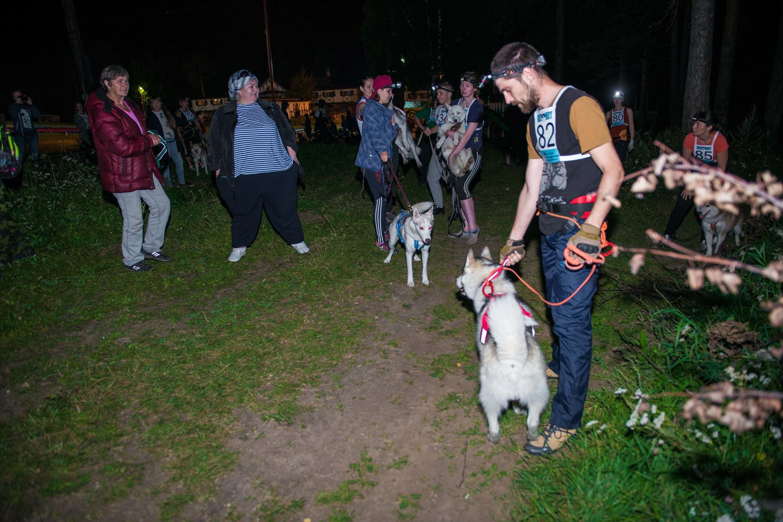 Дог-фестиваль 02.09.2017 Уктус Ночной след. Свадебный фотограф на Урале Виктор Соколов