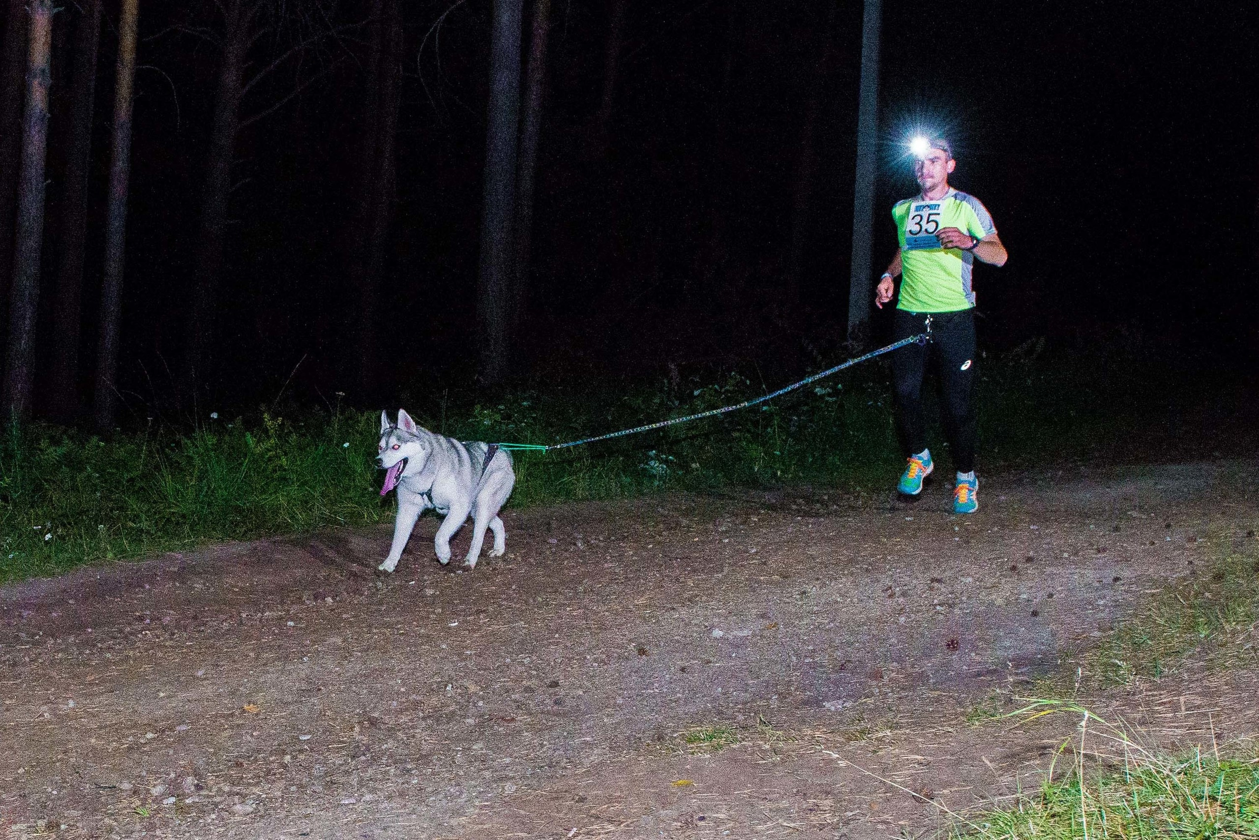Дог-фестиваль 02.09.2017 Уктус Ночной след. Свадебный фотограф на Урале Виктор Соколов