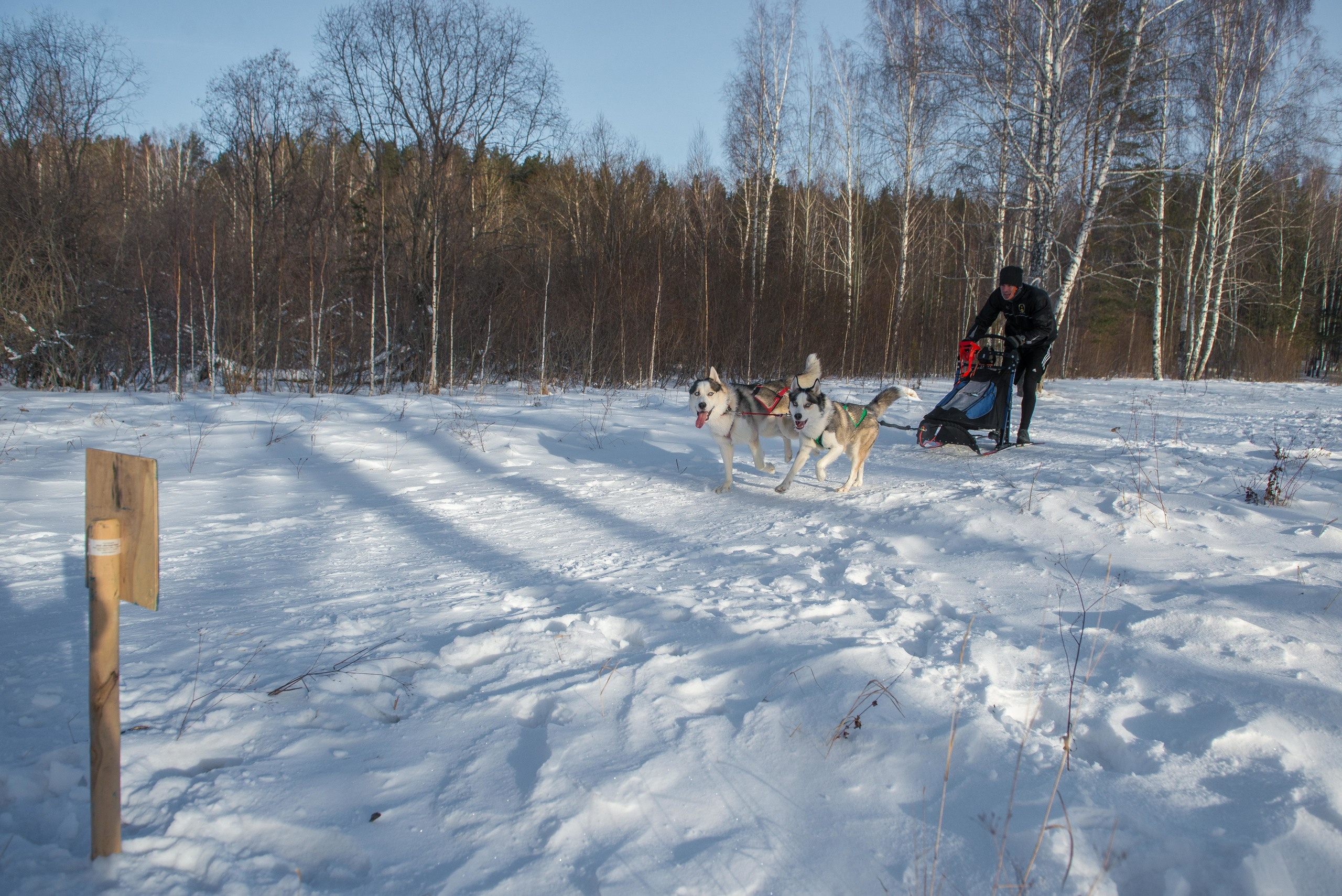 10 лет клубу Хэй-Хэй. Свадебный фотограф на Урале Виктор Соколов
