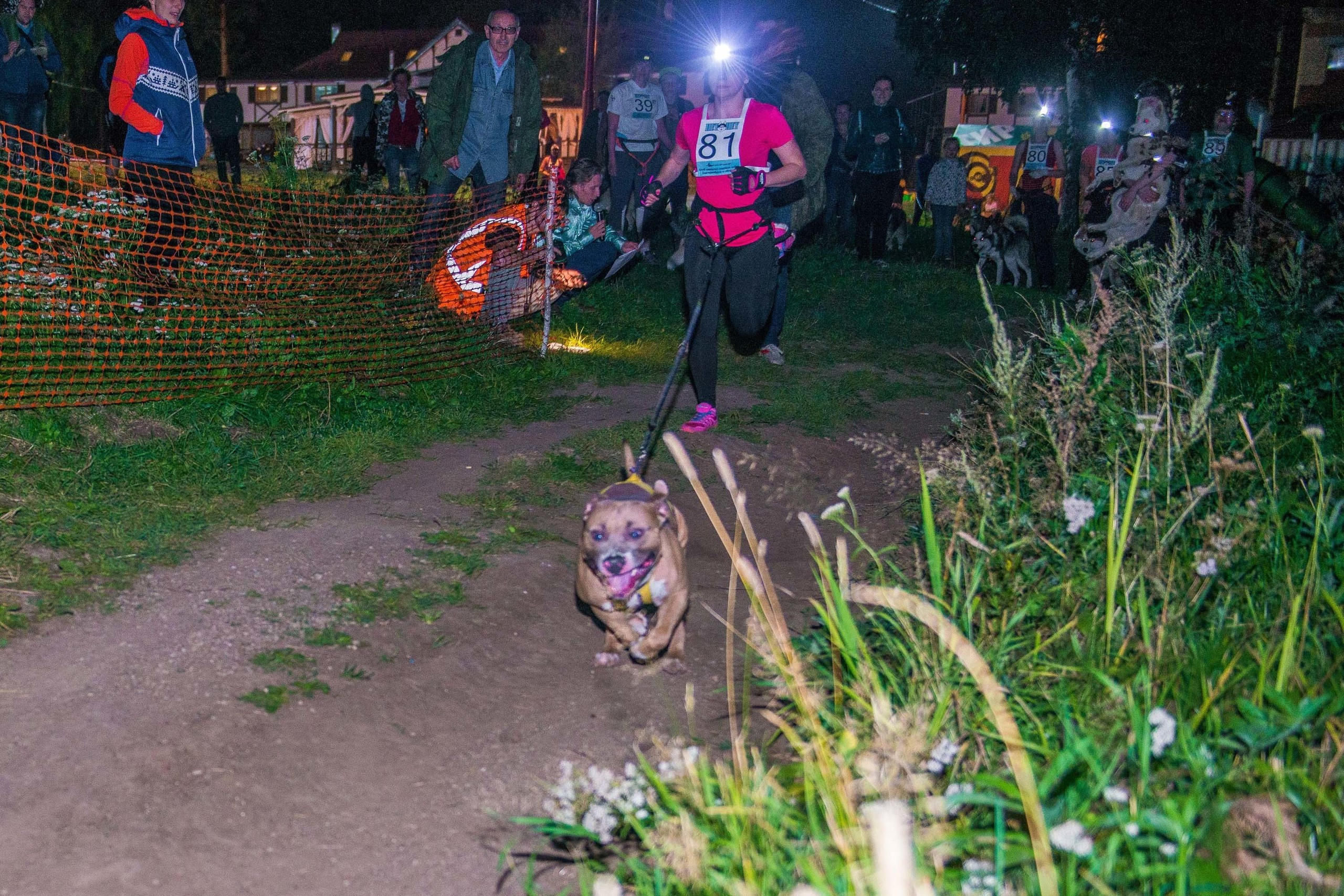 Дог-фестиваль 02.09.2017 Уктус Ночной след. Свадебный фотограф на Урале Виктор Соколов