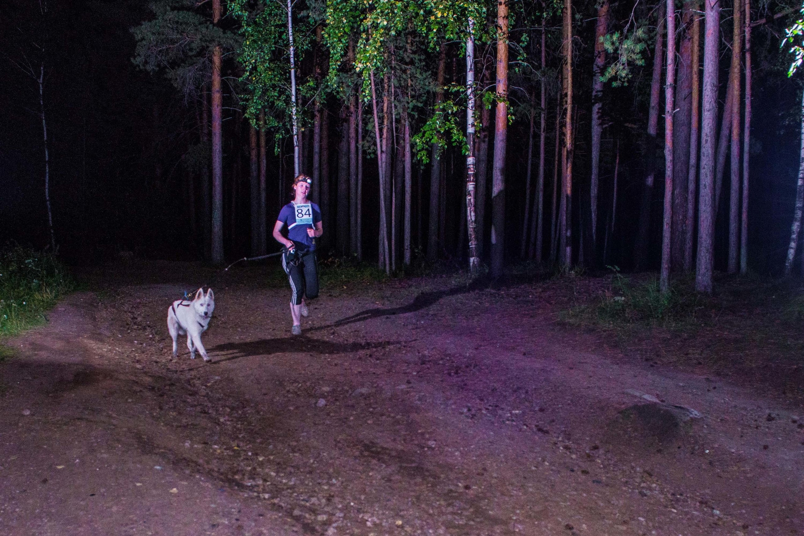 Дог-фестиваль 02.09.2017 Уктус Ночной след. Свадебный фотограф на Урале Виктор Соколов