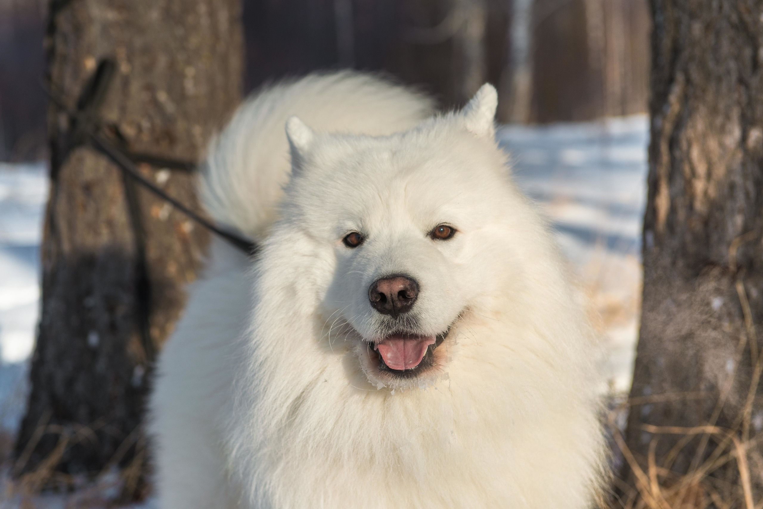 10 лет клубу Хэй-Хэй. Свадебный фотограф на Урале Виктор Соколов