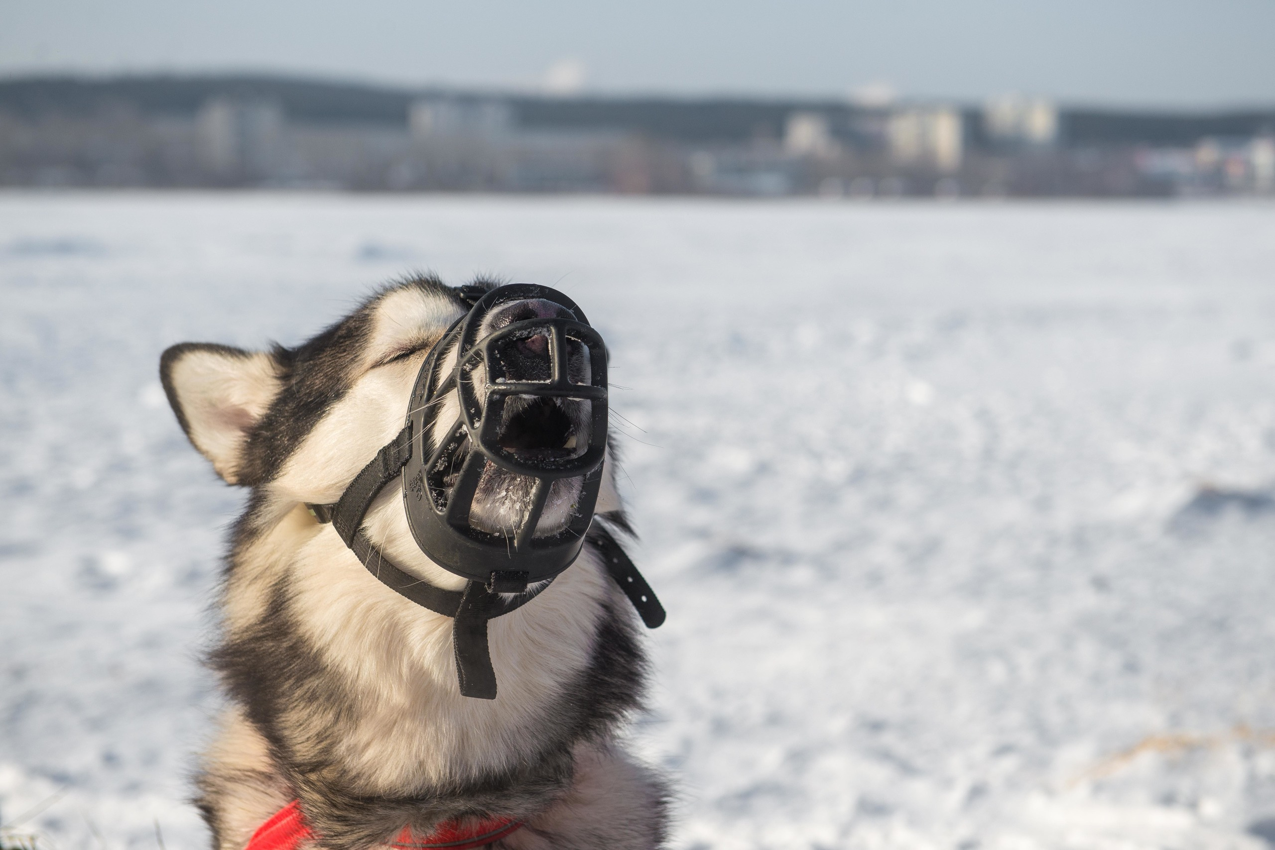 10 лет клубу Хэй-Хэй. Свадебный фотограф на Урале Виктор Соколов