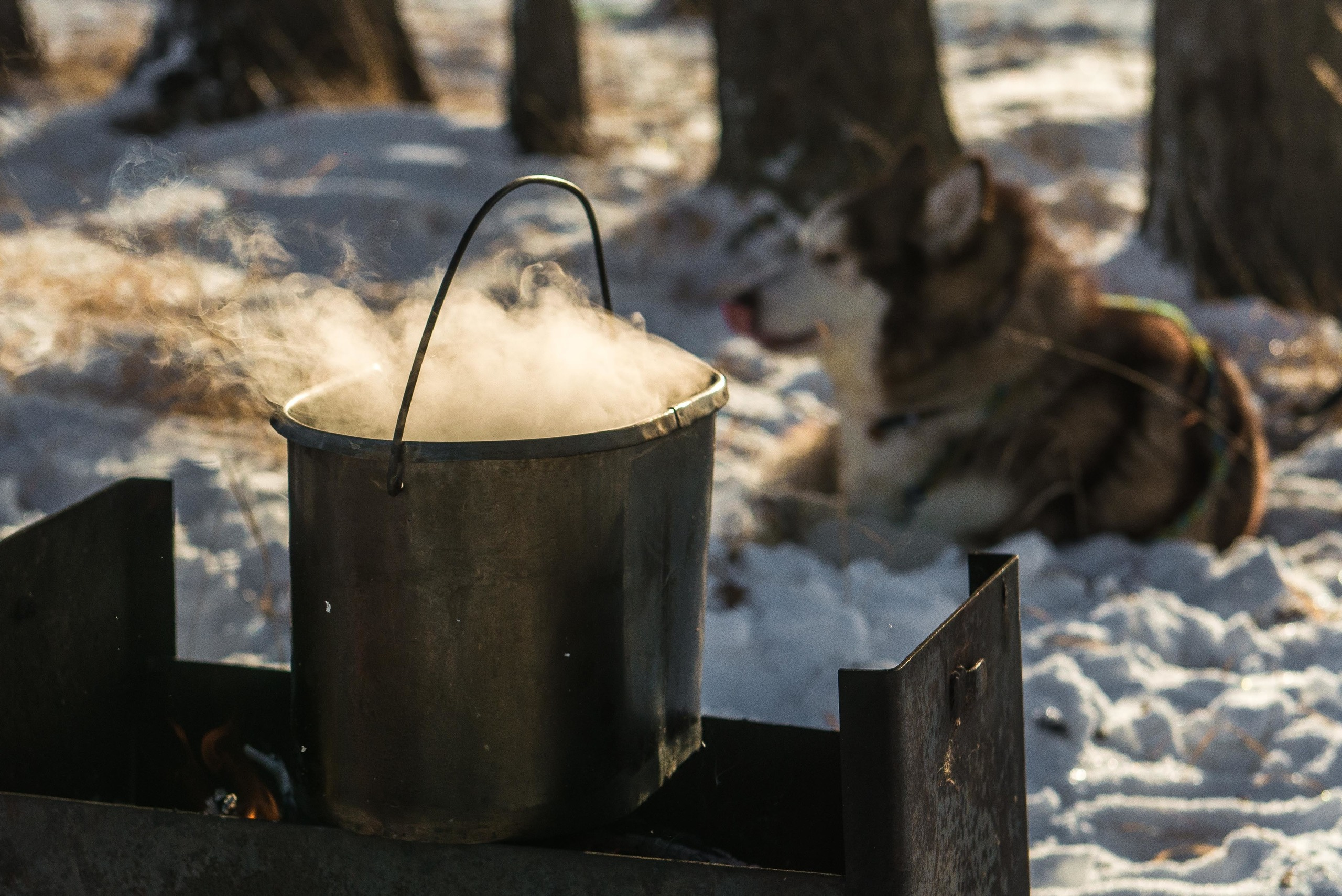 10 лет клубу Хэй-Хэй. Свадебный фотограф на Урале Виктор Соколов