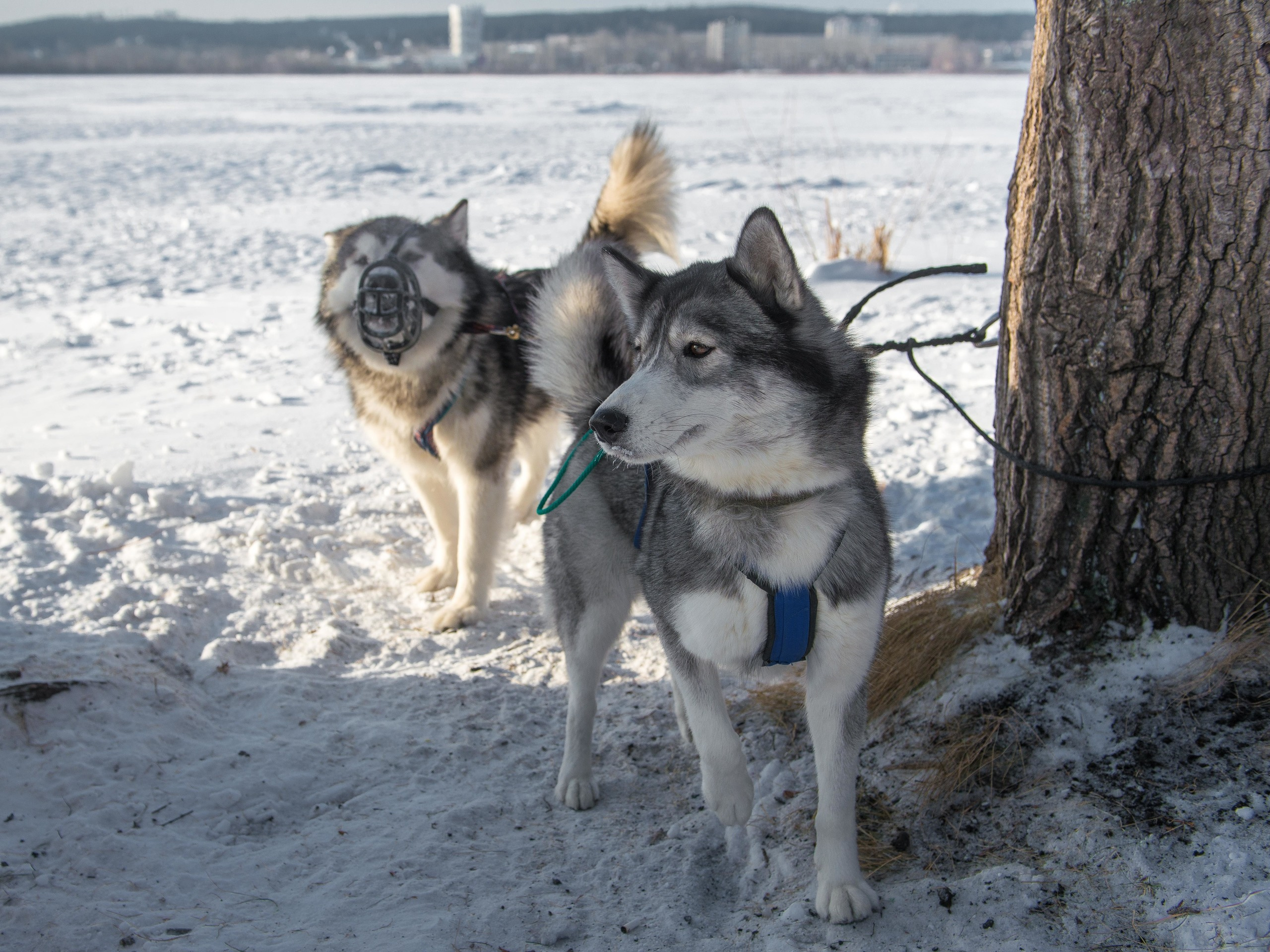 10 лет клубу Хэй-Хэй. Свадебный фотограф на Урале Виктор Соколов