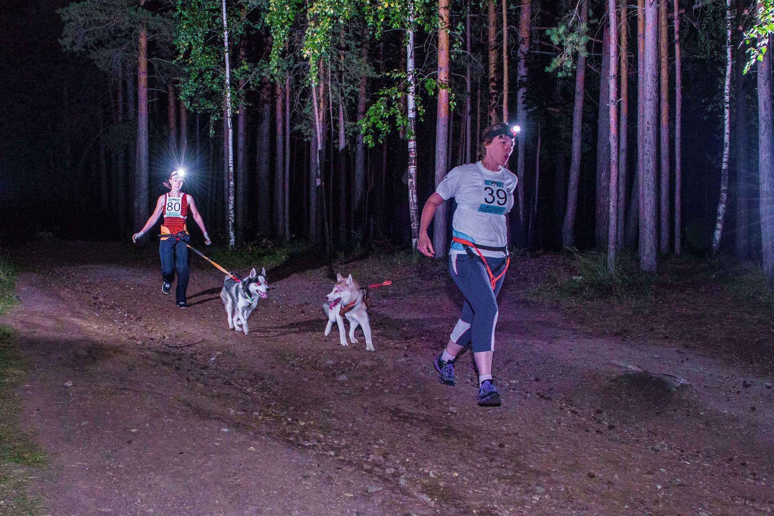 Дог-фестиваль 02.09.2017 Уктус Ночной след. Свадебный фотограф на Урале Виктор Соколов