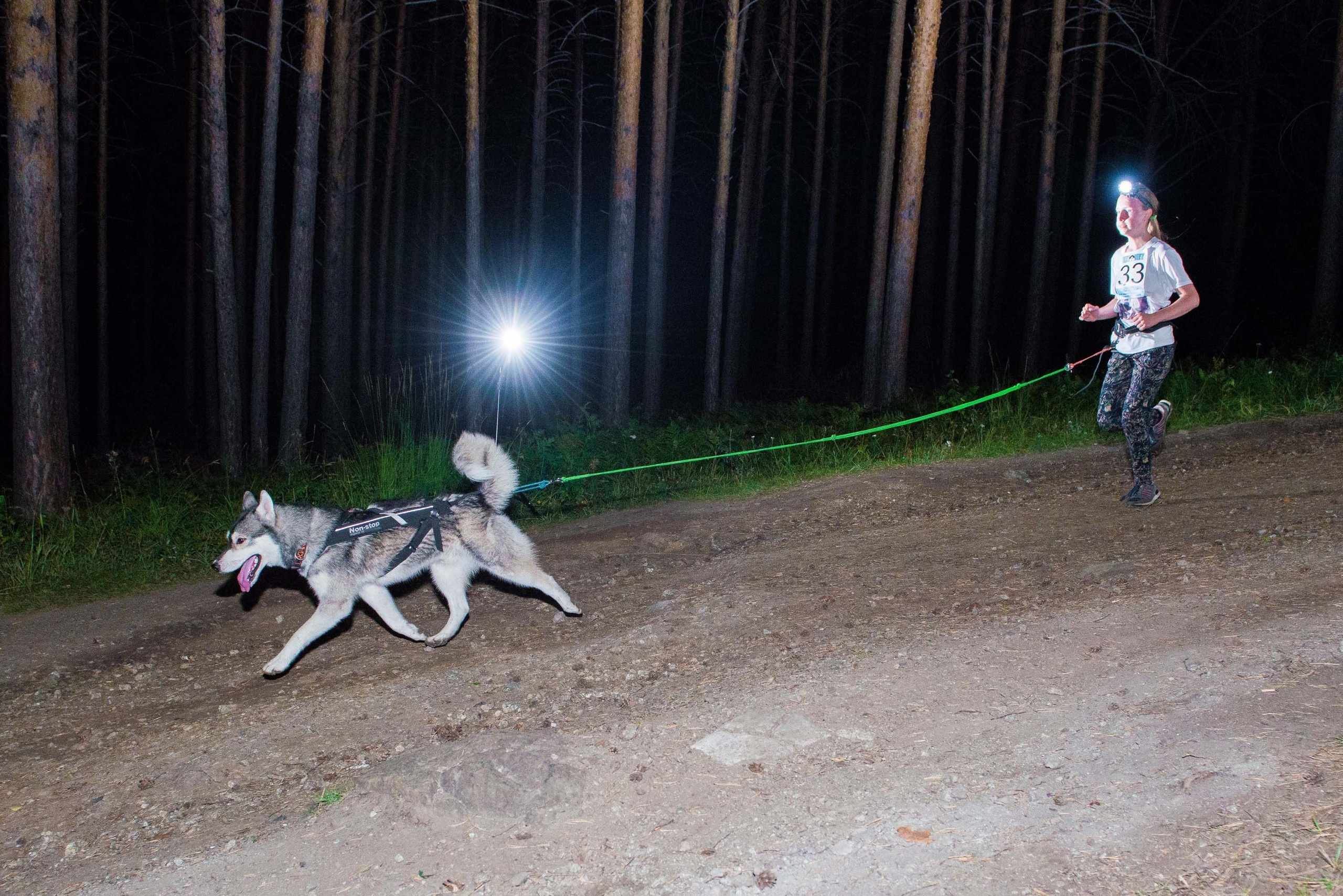Дог-фестиваль 02.09.2017 Уктус Ночной след. Свадебный фотограф на Урале Виктор Соколов