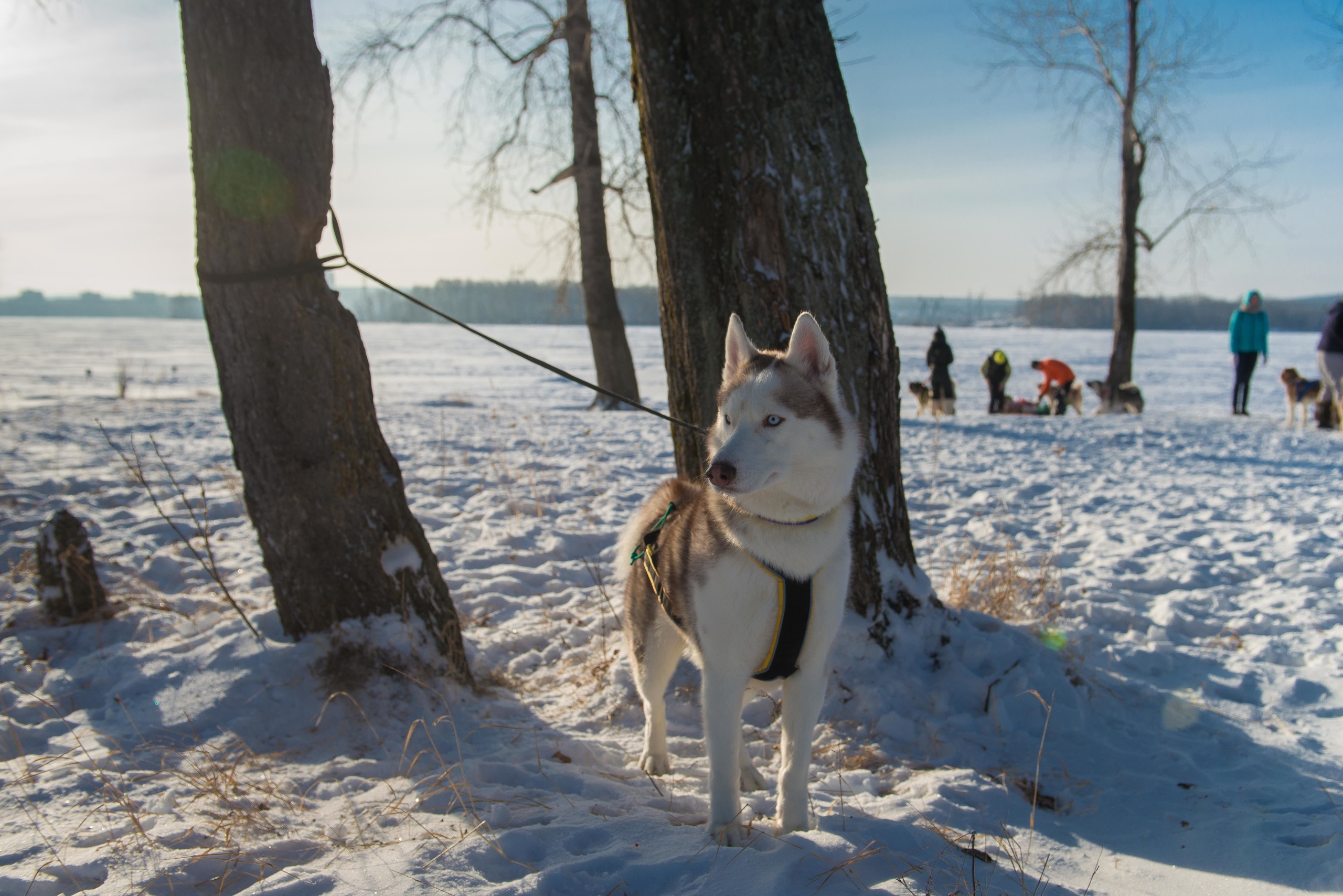 10 лет клубу Хэй-Хэй. Свадебный фотограф на Урале Виктор Соколов