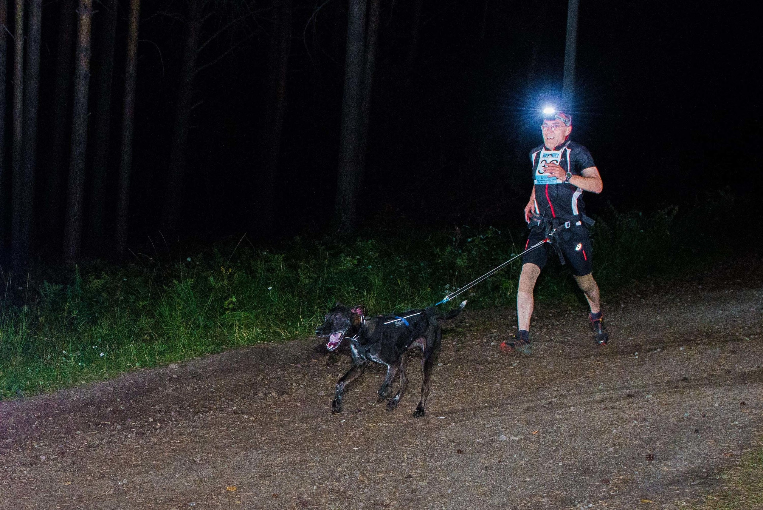 Дог-фестиваль 02.09.2017 Уктус Ночной след. Свадебный фотограф на Урале Виктор Соколов