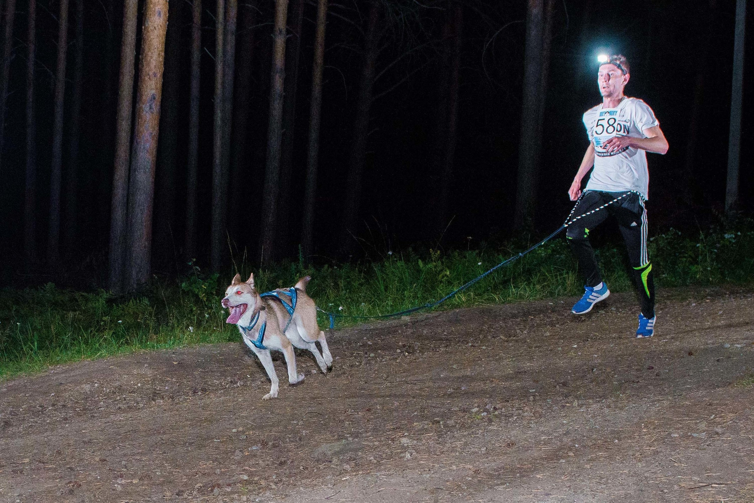 Дог-фестиваль 02.09.2017 Уктус Ночной след. Свадебный фотограф на Урале Виктор Соколов