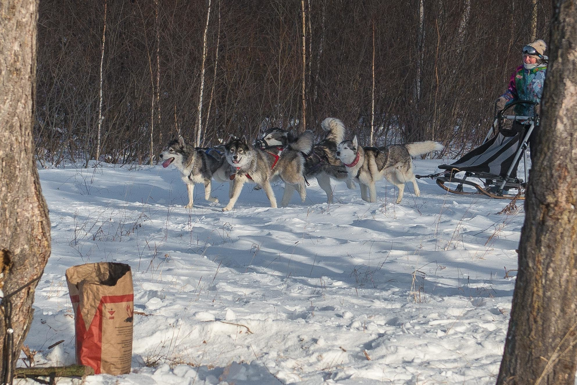 10 лет клубу Хэй-Хэй. Свадебный фотограф на Урале Виктор Соколов