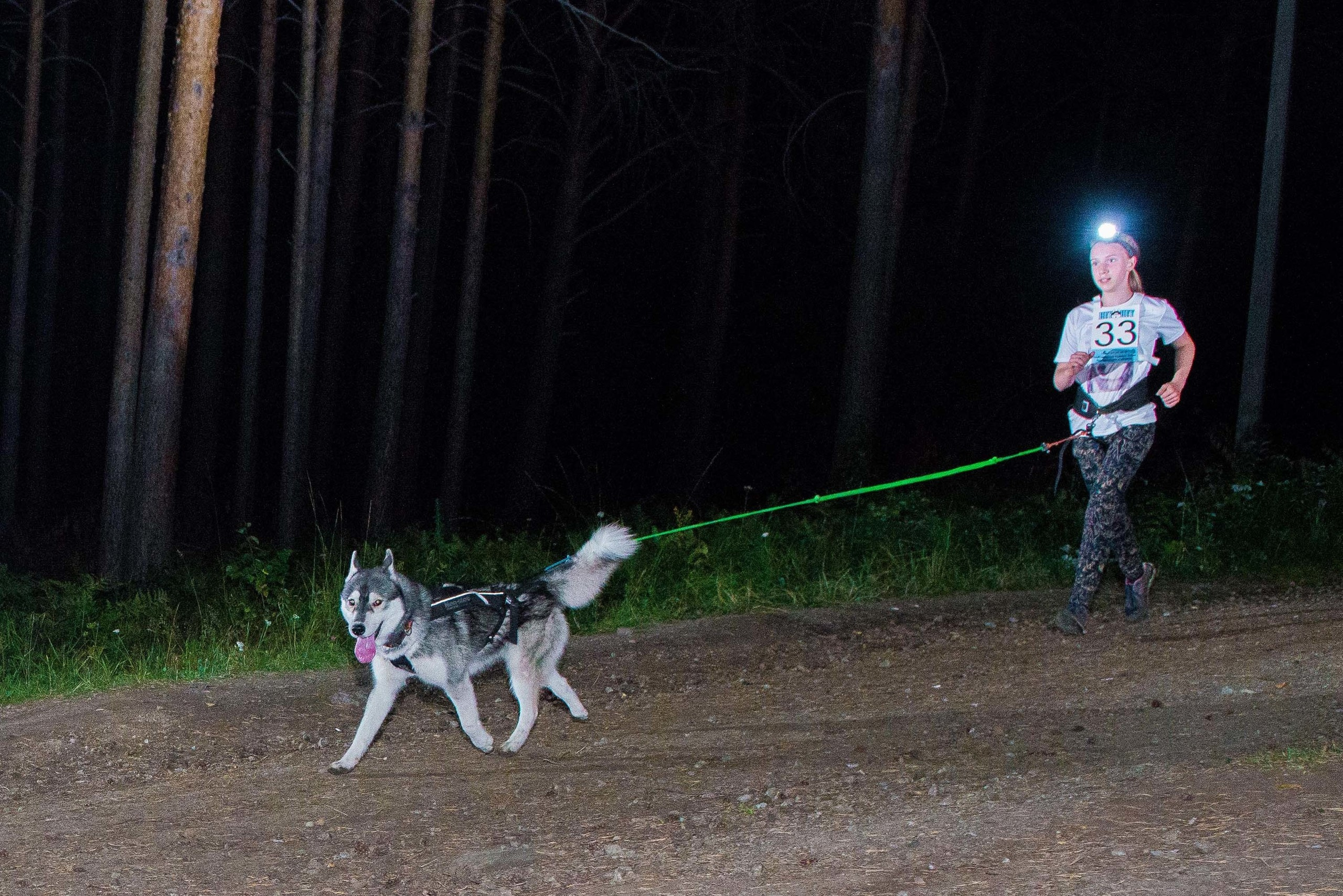Дог-фестиваль 02.09.2017 Уктус Ночной след. Свадебный фотограф на Урале Виктор Соколов