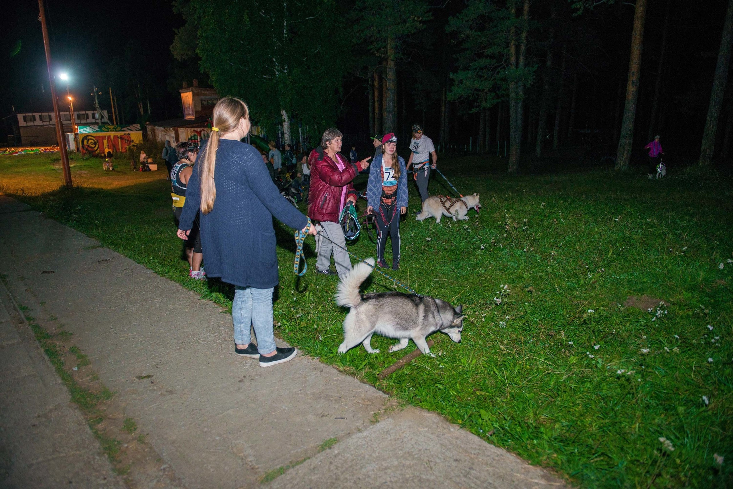Дог-фестиваль 02.09.2017 Уктус Ночной след. Свадебный фотограф на Урале Виктор Соколов