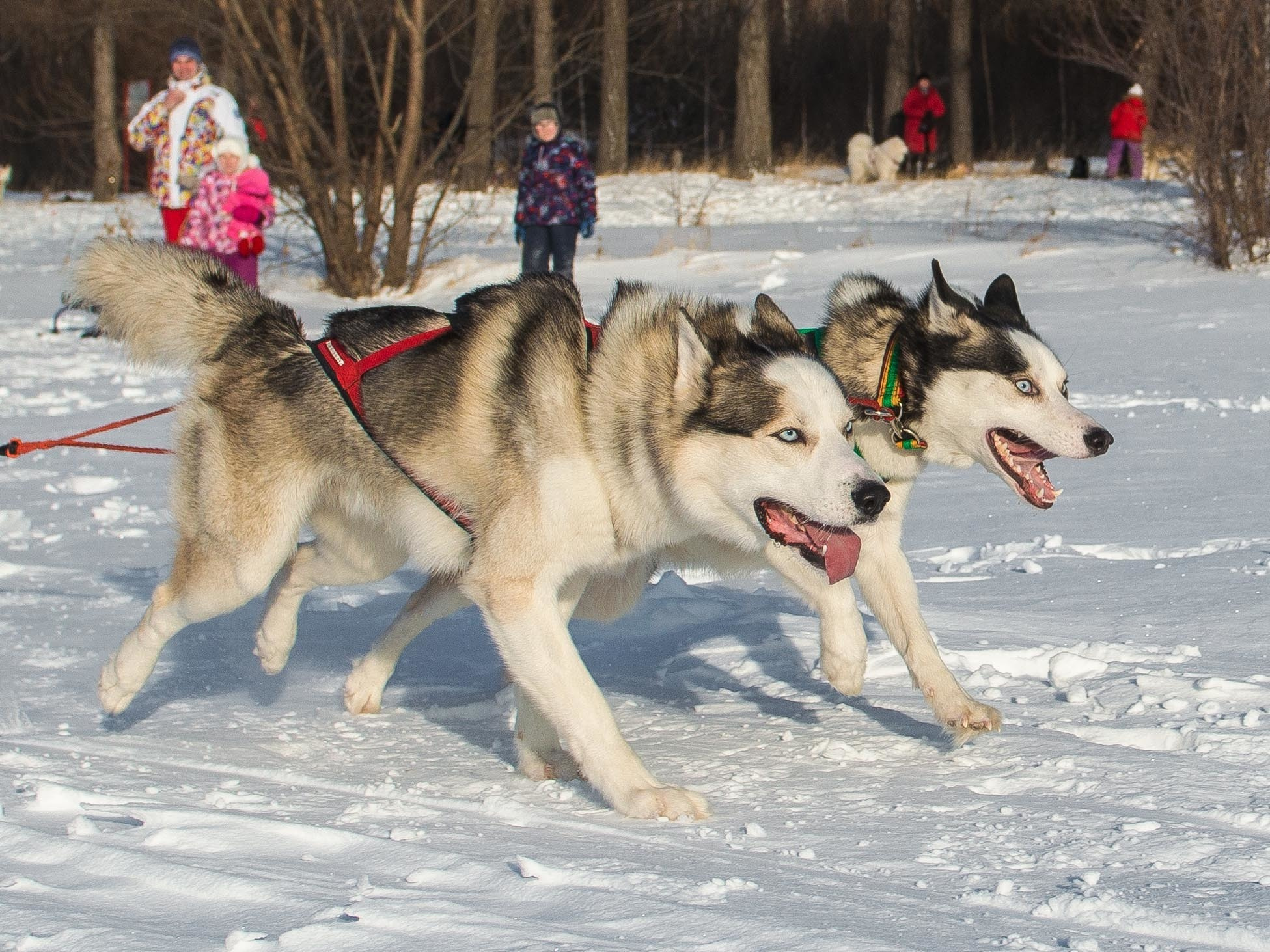 10 лет клубу Хэй-Хэй. Свадебный фотограф на Урале Виктор Соколов
