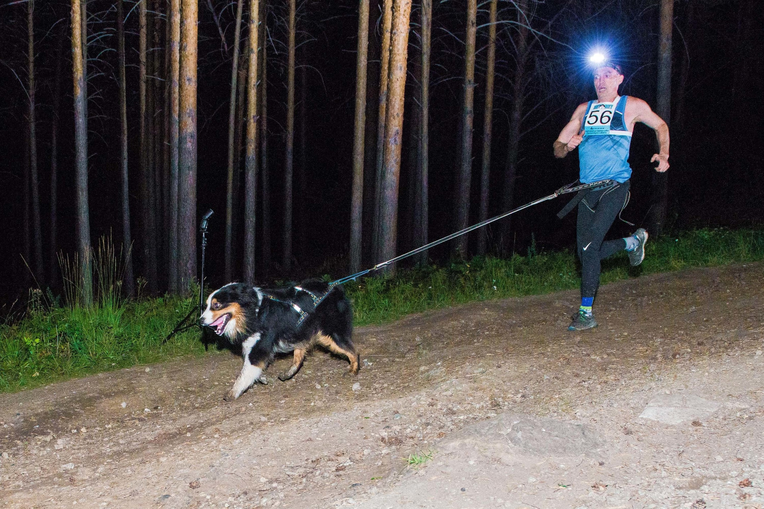 Дог-фестиваль 02.09.2017 Уктус Ночной след. Свадебный фотограф на Урале Виктор Соколов