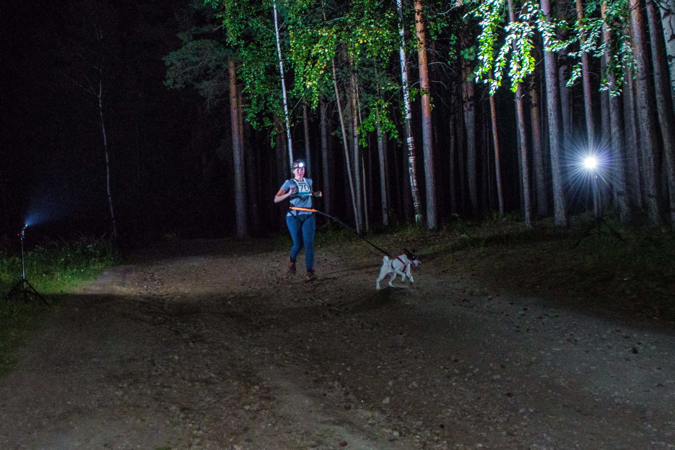 Дог-фестиваль 02.09.2017 Уктус Ночной след. Свадебный фотограф на Урале Виктор Соколов