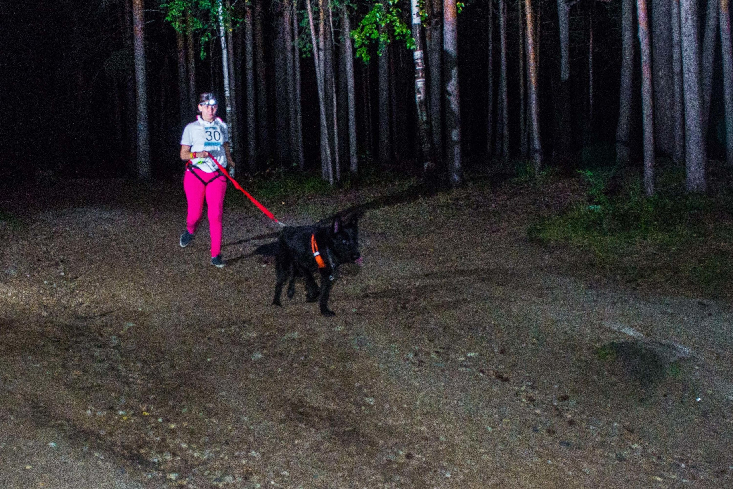 Дог-фестиваль 02.09.2017 Уктус Ночной след. Свадебный фотограф на Урале Виктор Соколов