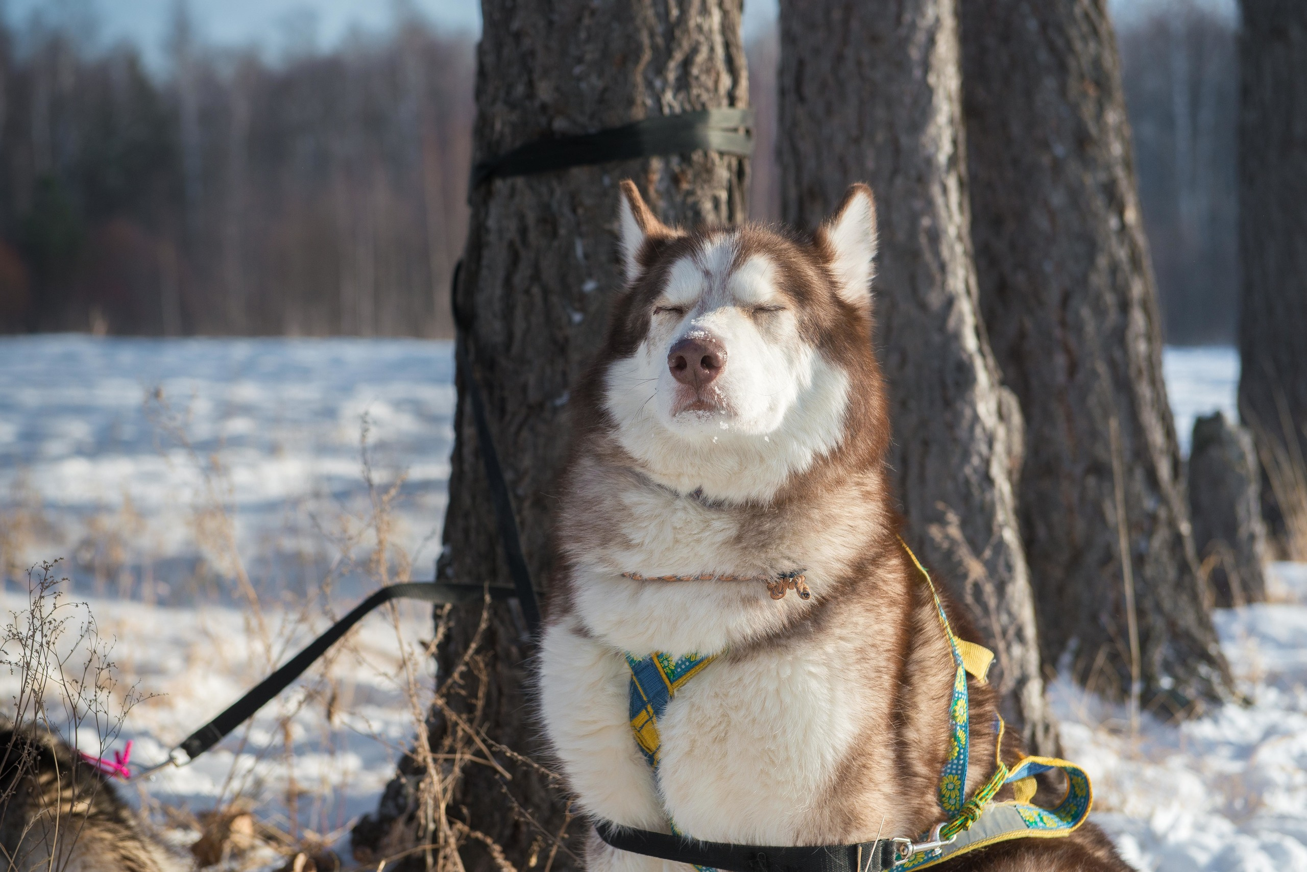 10 лет клубу Хэй-Хэй. Свадебный фотограф на Урале Виктор Соколов