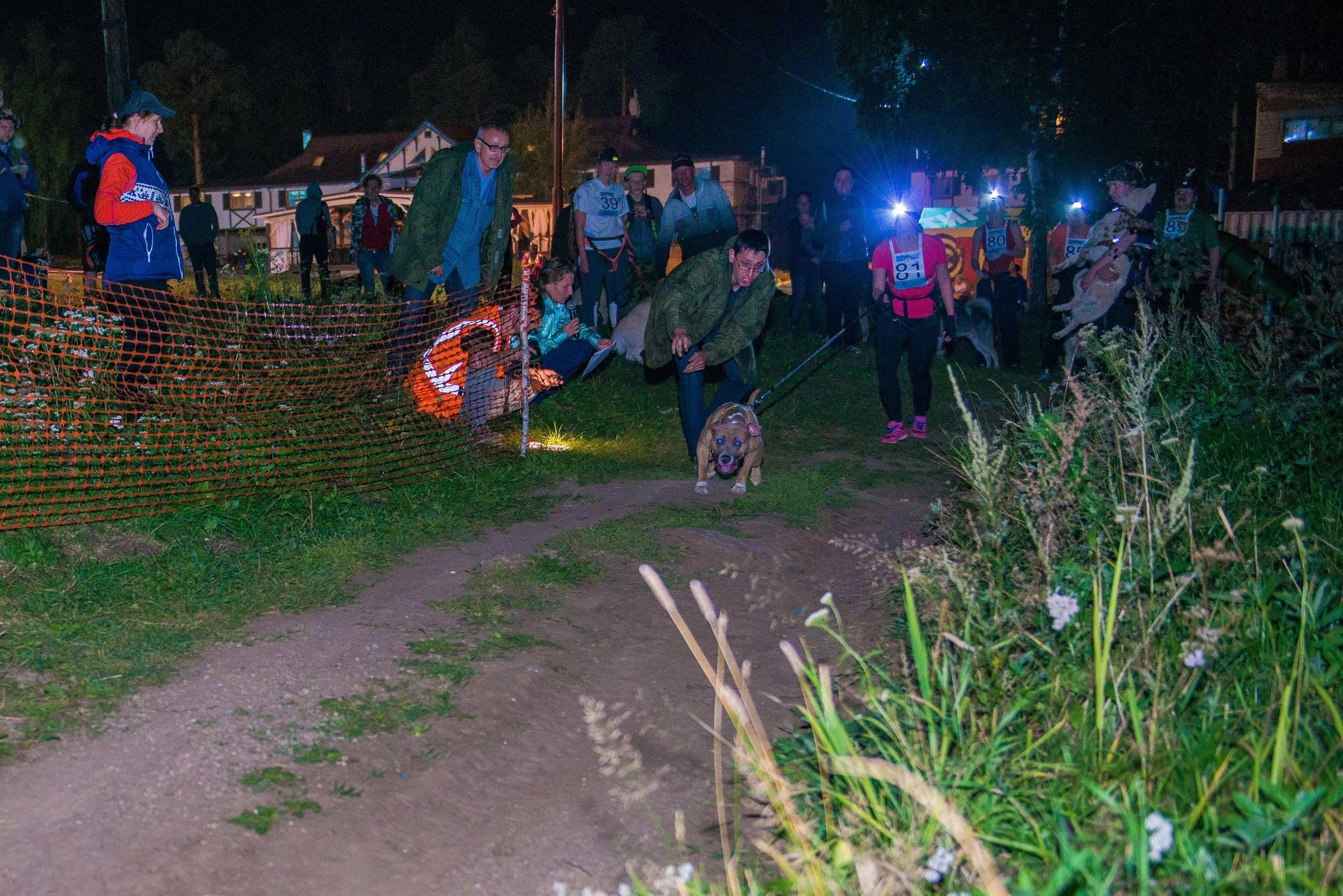 Дог-фестиваль 02.09.2017 Уктус Ночной след. Свадебный фотограф на Урале Виктор Соколов