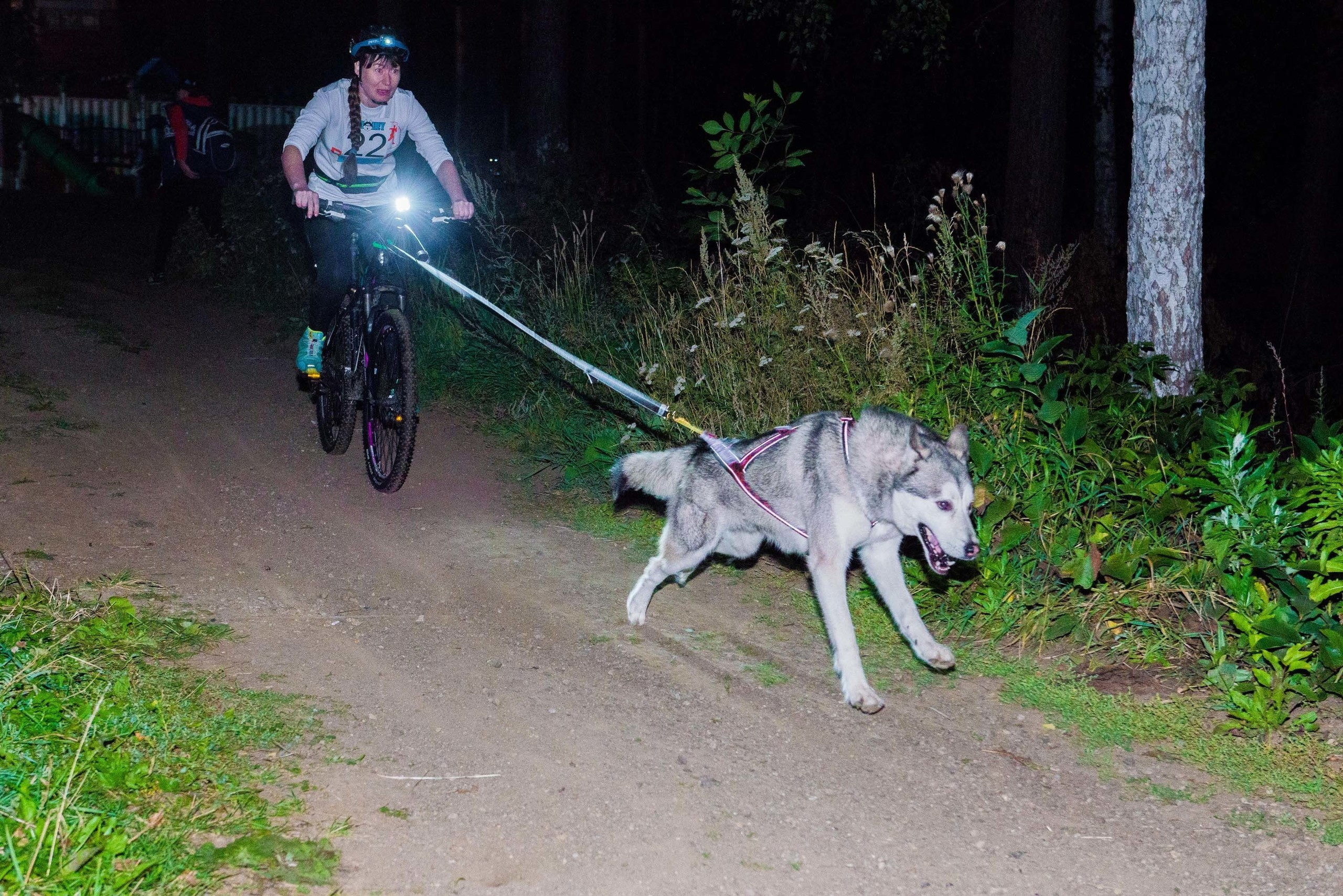 Дог-фестиваль 02.09.2017 Уктус Ночной след. Свадебный фотограф на Урале Виктор Соколов