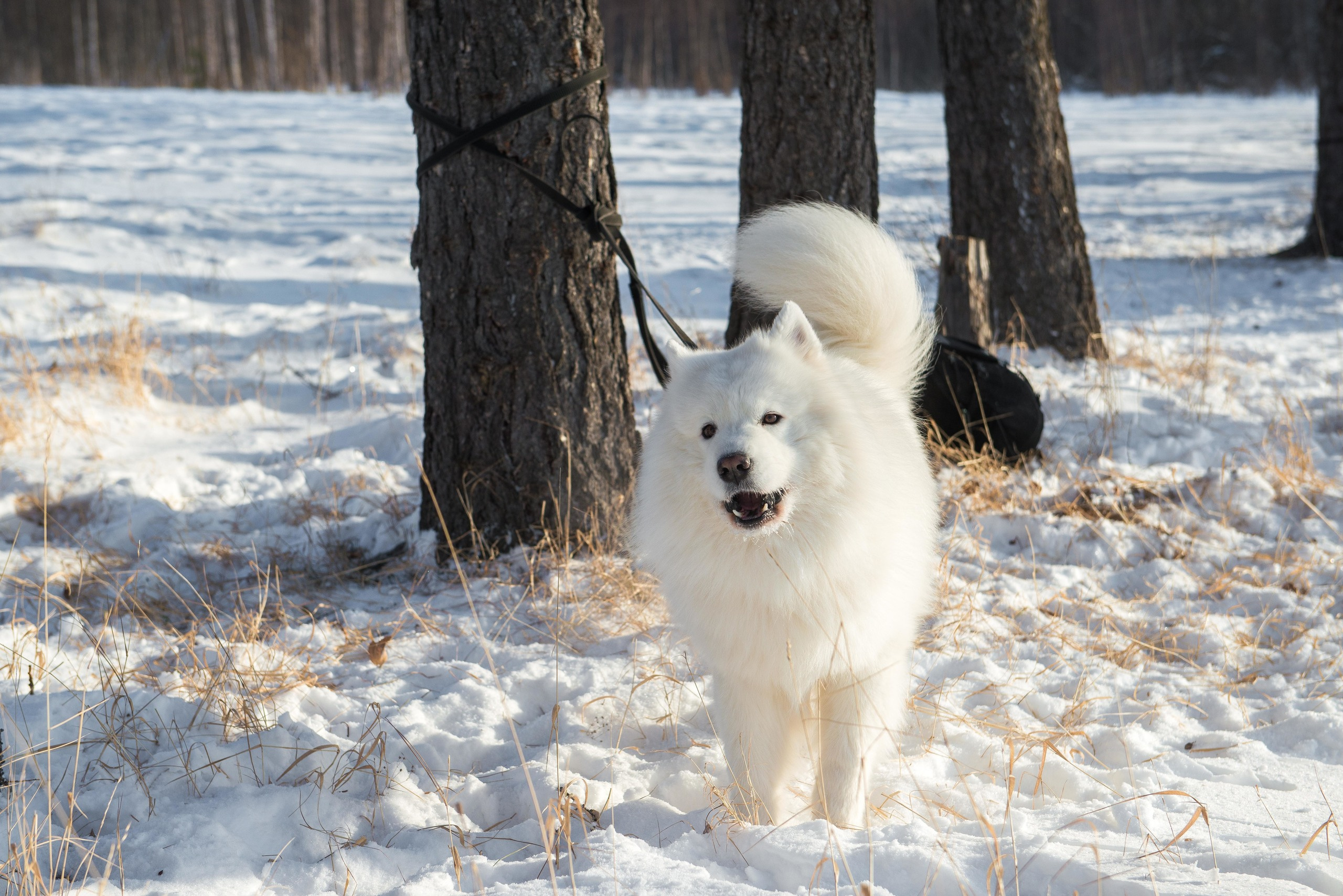 10 лет клубу Хэй-Хэй. Свадебный фотограф на Урале Виктор Соколов
