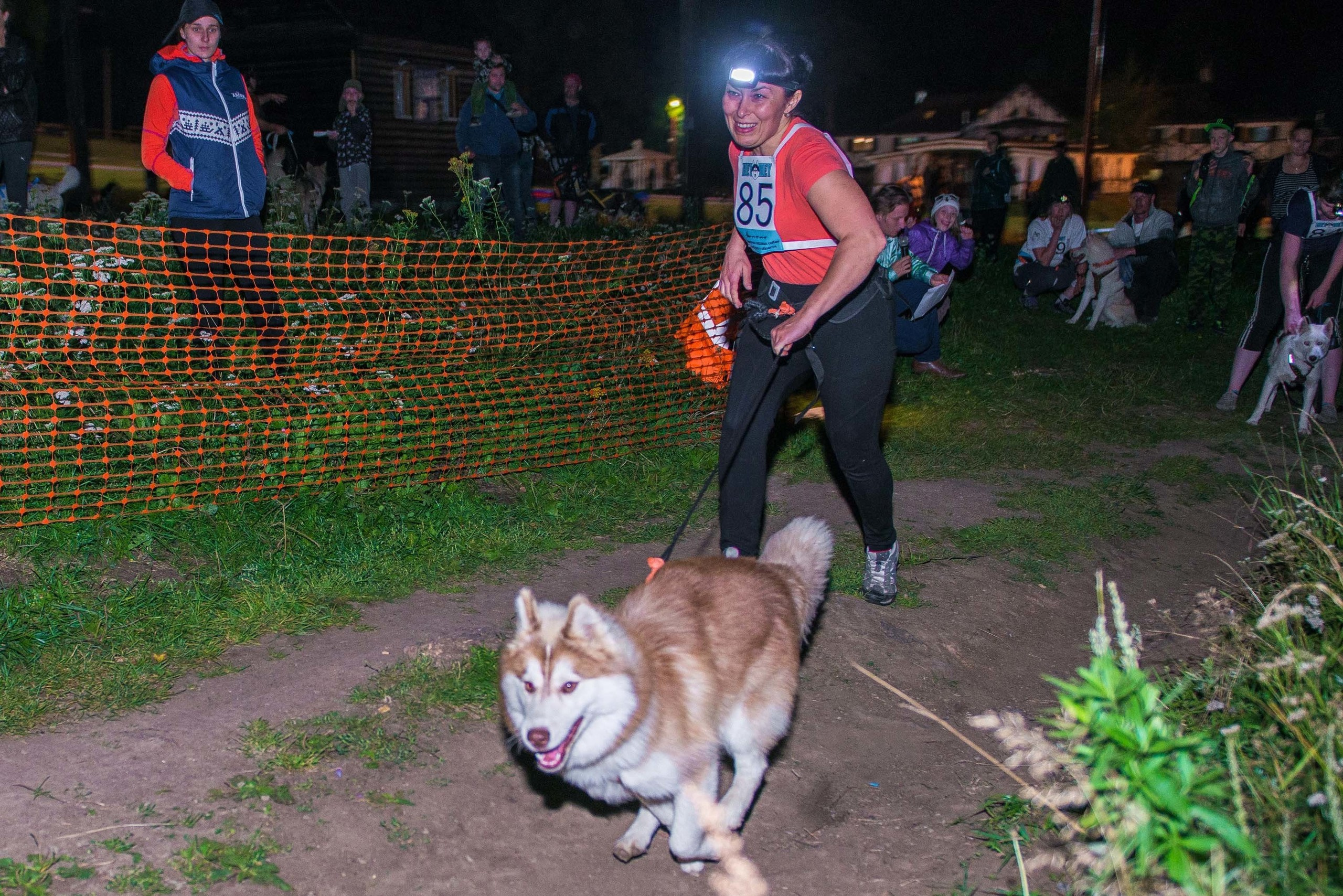 Дог-фестиваль 02.09.2017 Уктус Ночной след. Свадебный фотограф на Урале Виктор Соколов