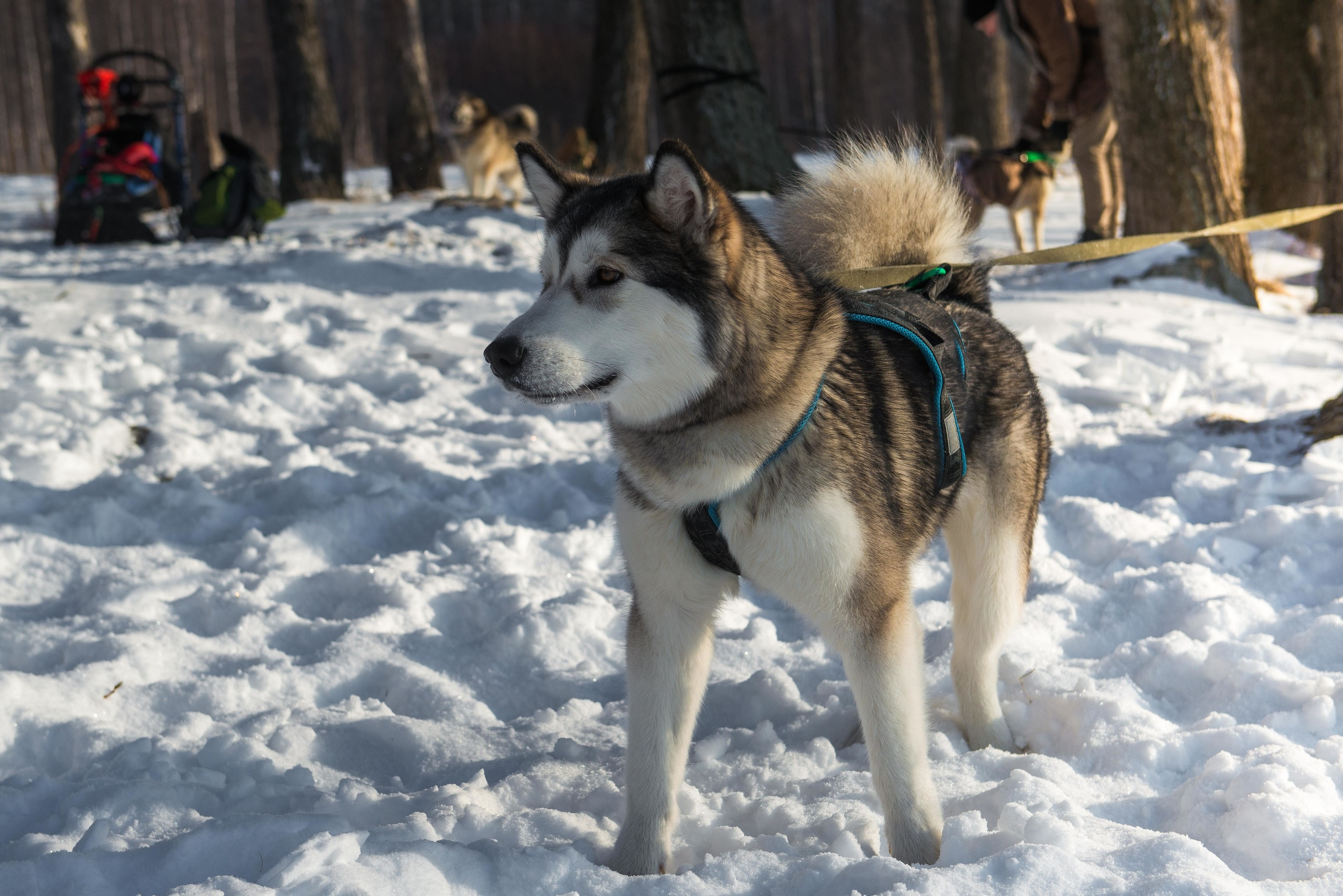 10 лет клубу Хэй-Хэй. Свадебный фотограф на Урале Виктор Соколов