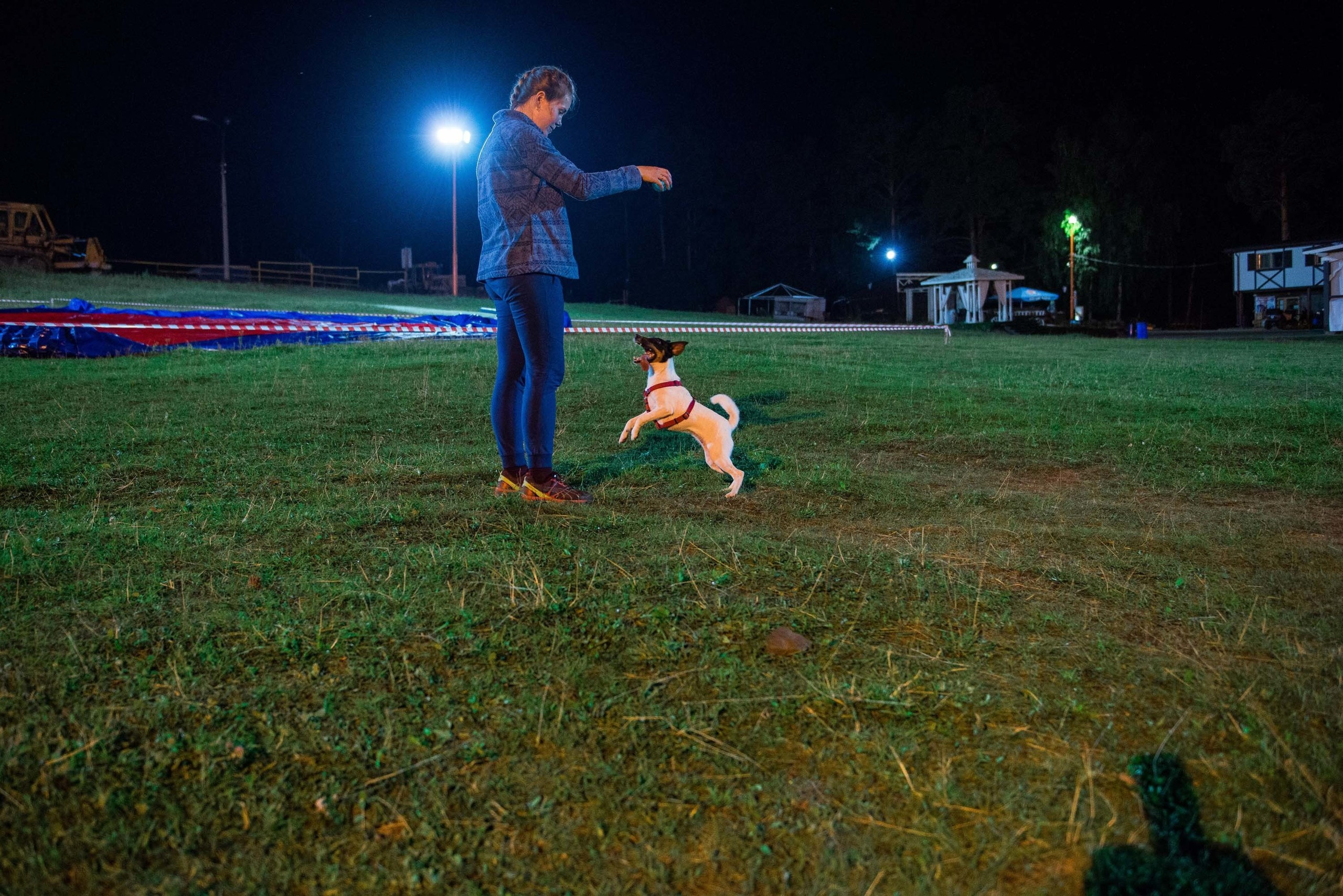 Дог-фестиваль 02.09.2017 Уктус Ночной след. Свадебный фотограф на Урале Виктор Соколов