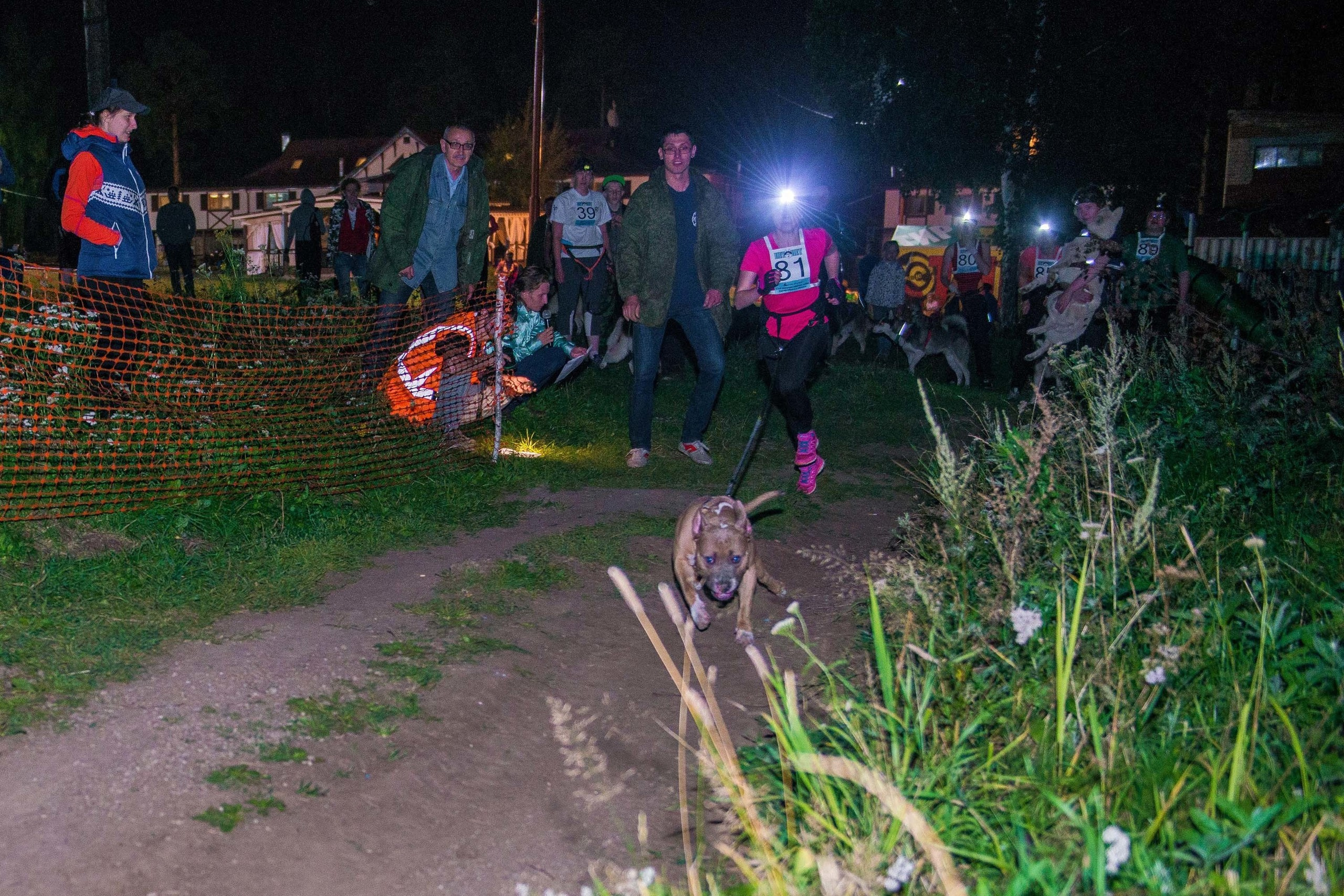 Дог-фестиваль 02.09.2017 Уктус Ночной след. Свадебный фотограф на Урале Виктор Соколов