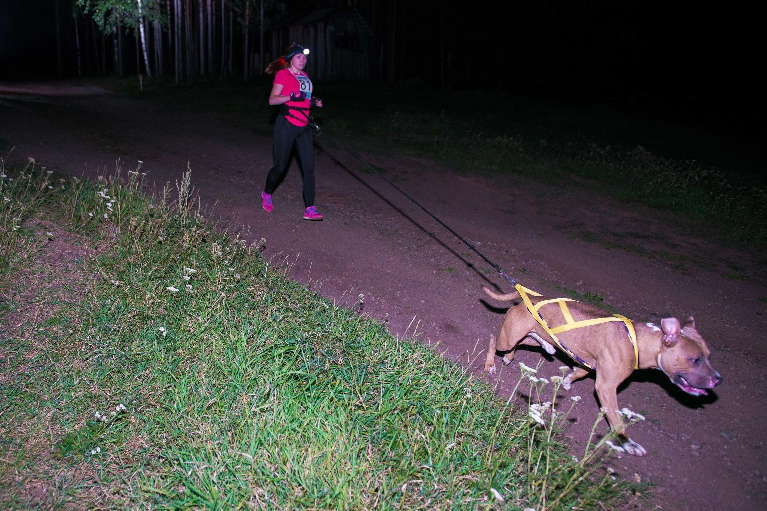 Дог-фестиваль 02.09.2017 Уктус Ночной след. Свадебный фотограф на Урале Виктор Соколов