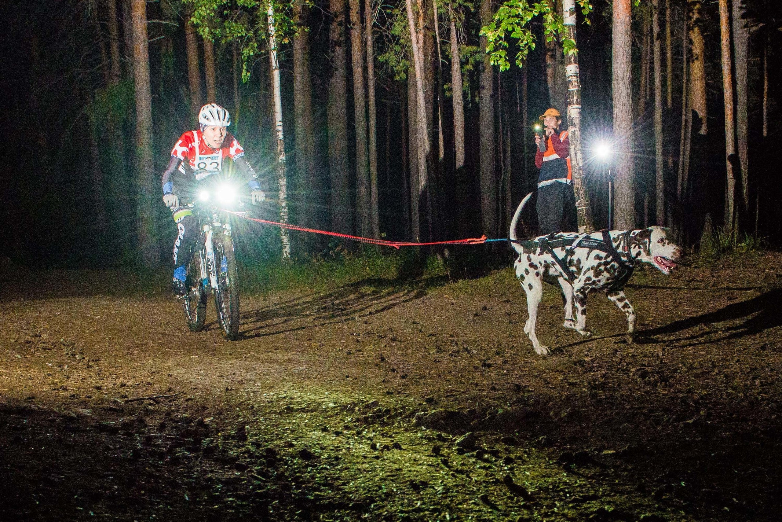 Дог-фестиваль 02.09.2017 Уктус Ночной след. Свадебный фотограф на Урале Виктор Соколов