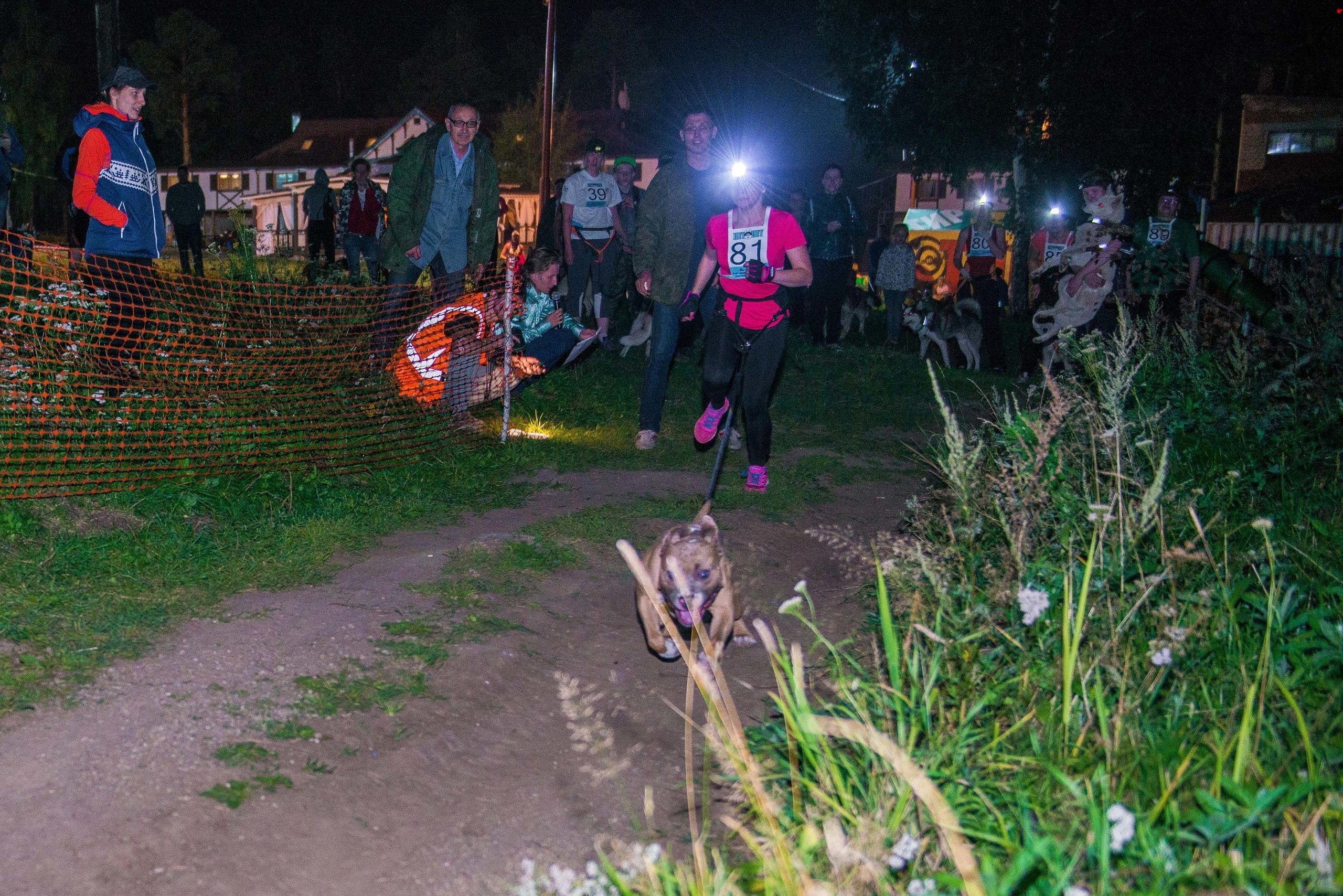 Дог-фестиваль 02.09.2017 Уктус Ночной след. Свадебный фотограф на Урале Виктор Соколов