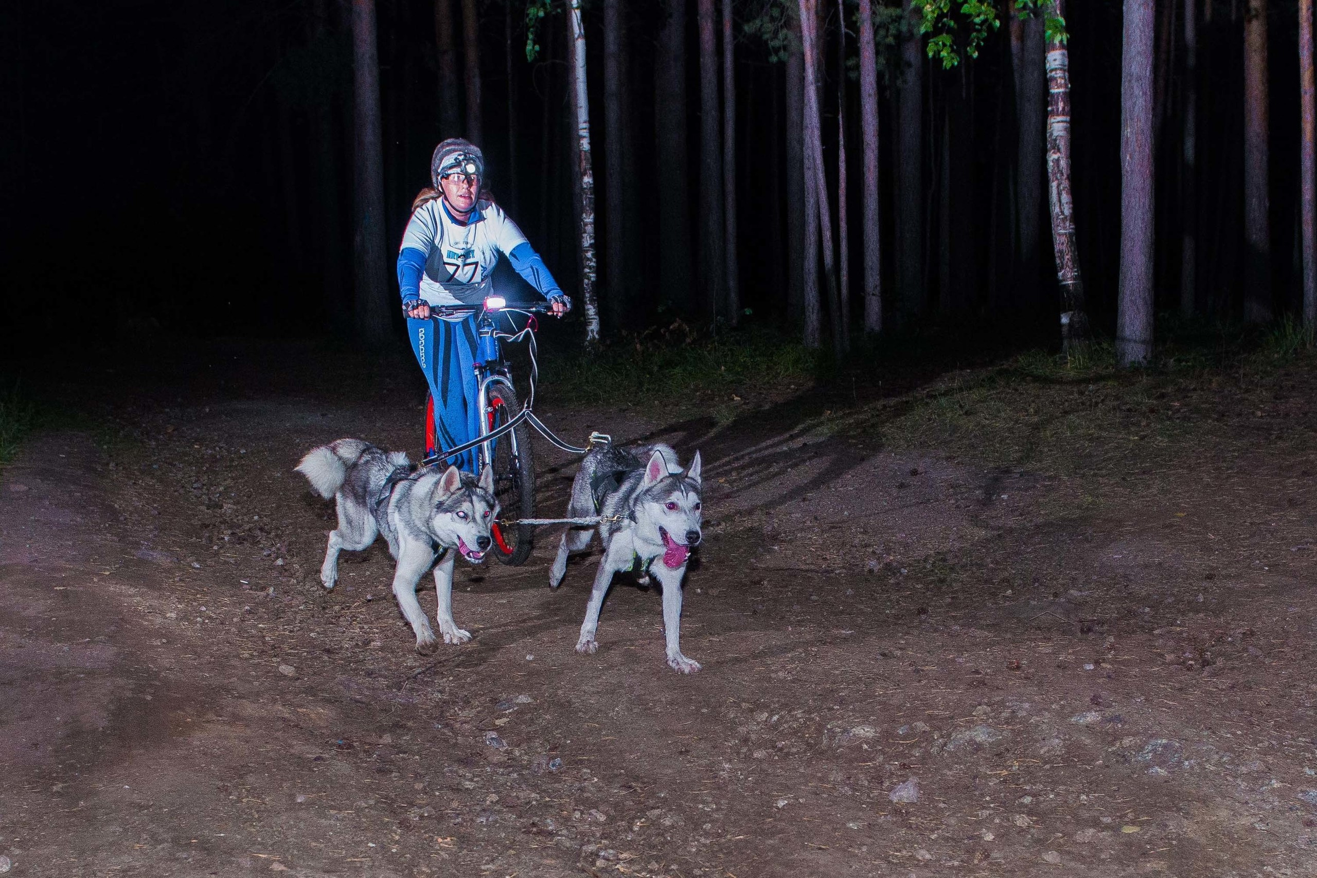 Дог-фестиваль 02.09.2017 Уктус Ночной след. Свадебный фотограф на Урале Виктор Соколов