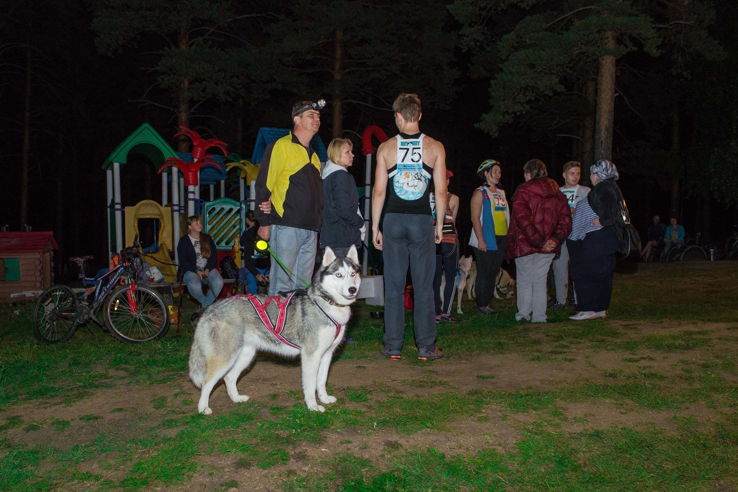 Дог-фестиваль 02.09.2017 Уктус Ночной след. Свадебный фотограф на Урале Виктор Соколов