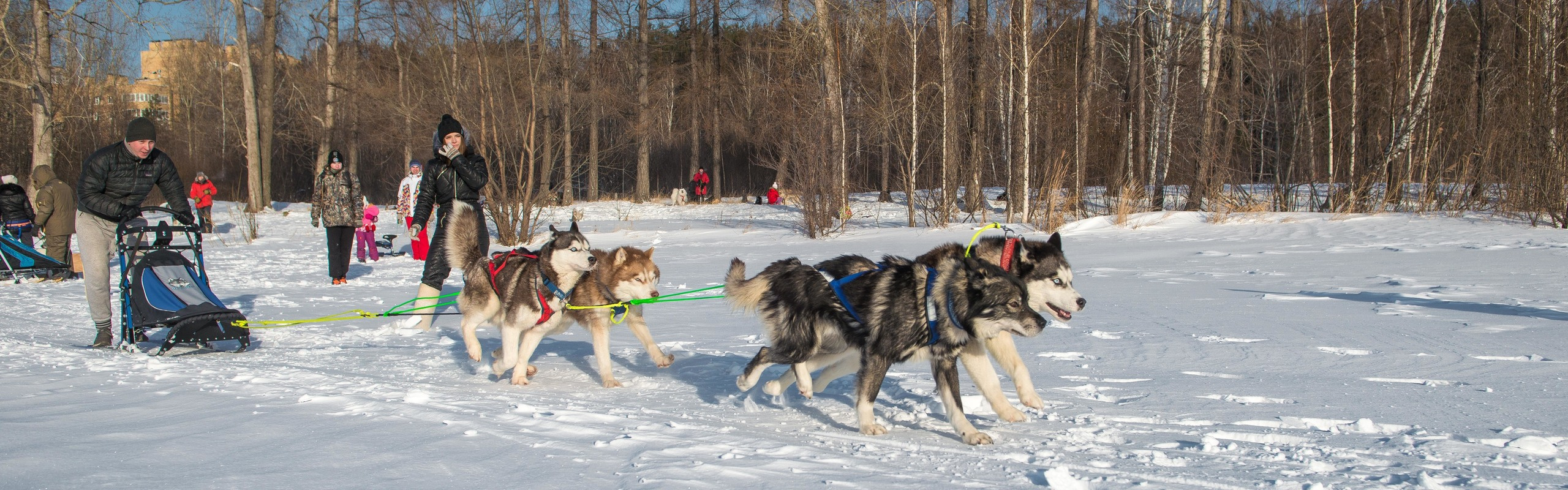 10 лет клубу Хэй-Хэй. Свадебный фотограф на Урале Виктор Соколов