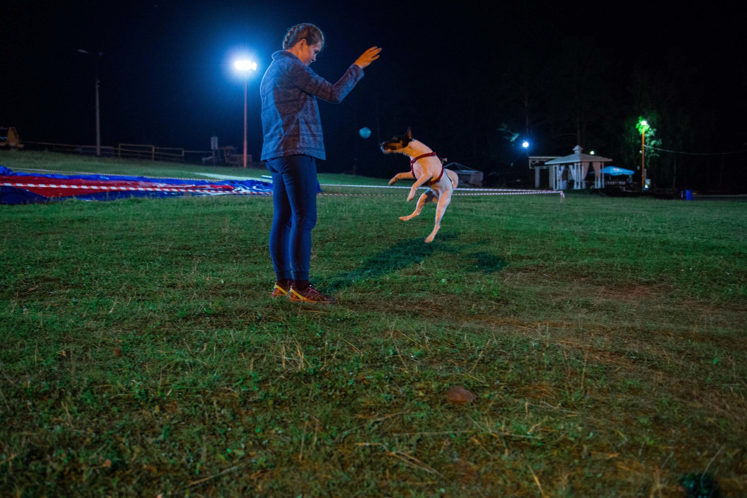 Дог-фестиваль 02.09.2017 Уктус Ночной след. Свадебный фотограф на Урале Виктор Соколов