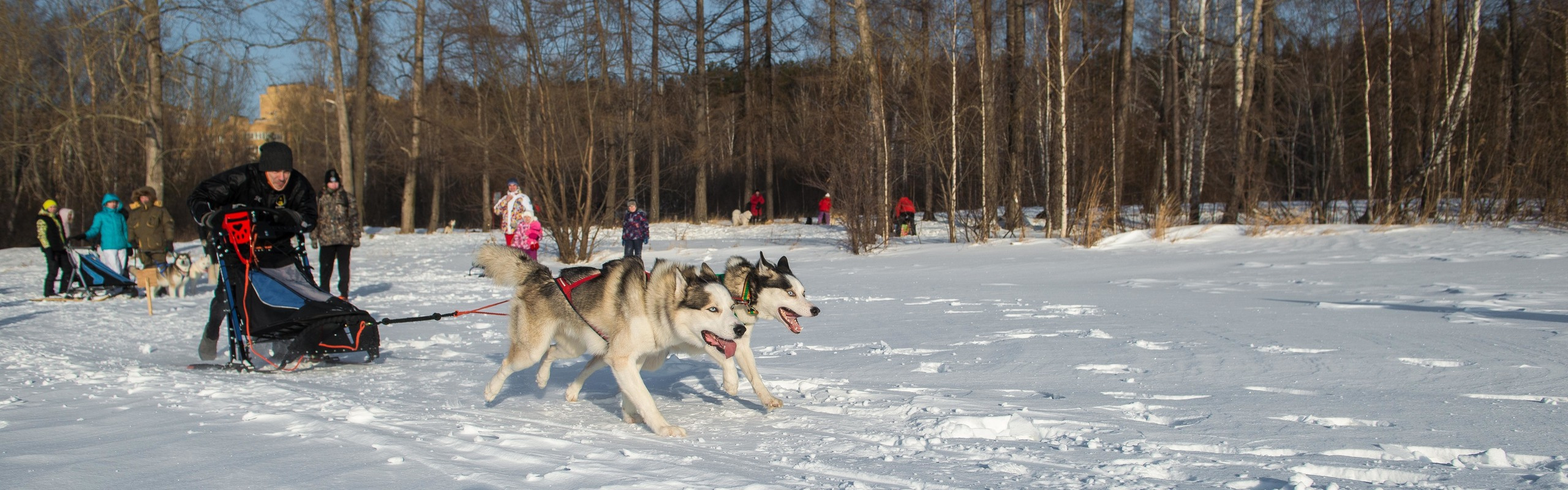 10 лет клубу Хэй-Хэй. Свадебный фотограф на Урале Виктор Соколов
