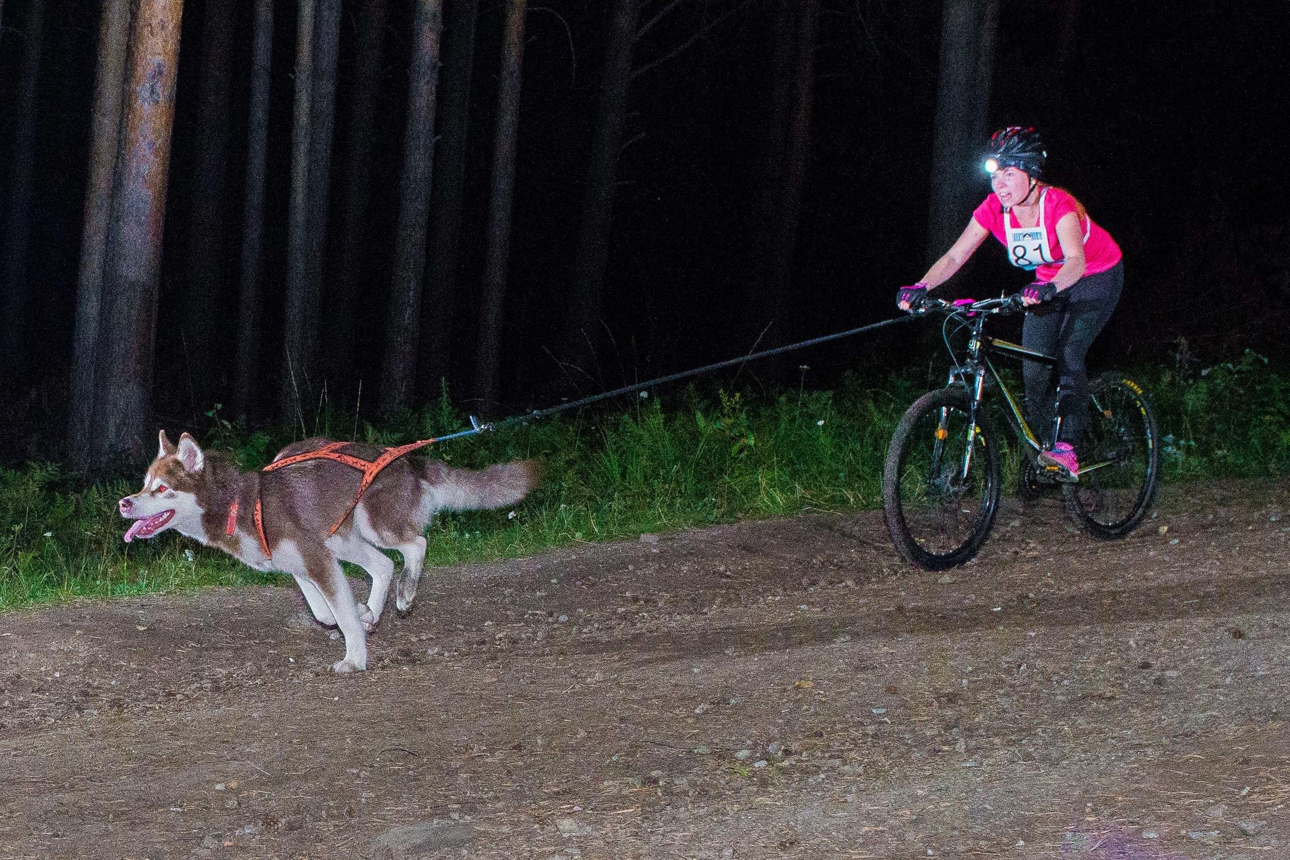 Дог-фестиваль 02.09.2017 Уктус Ночной след. Свадебный фотограф на Урале Виктор Соколов