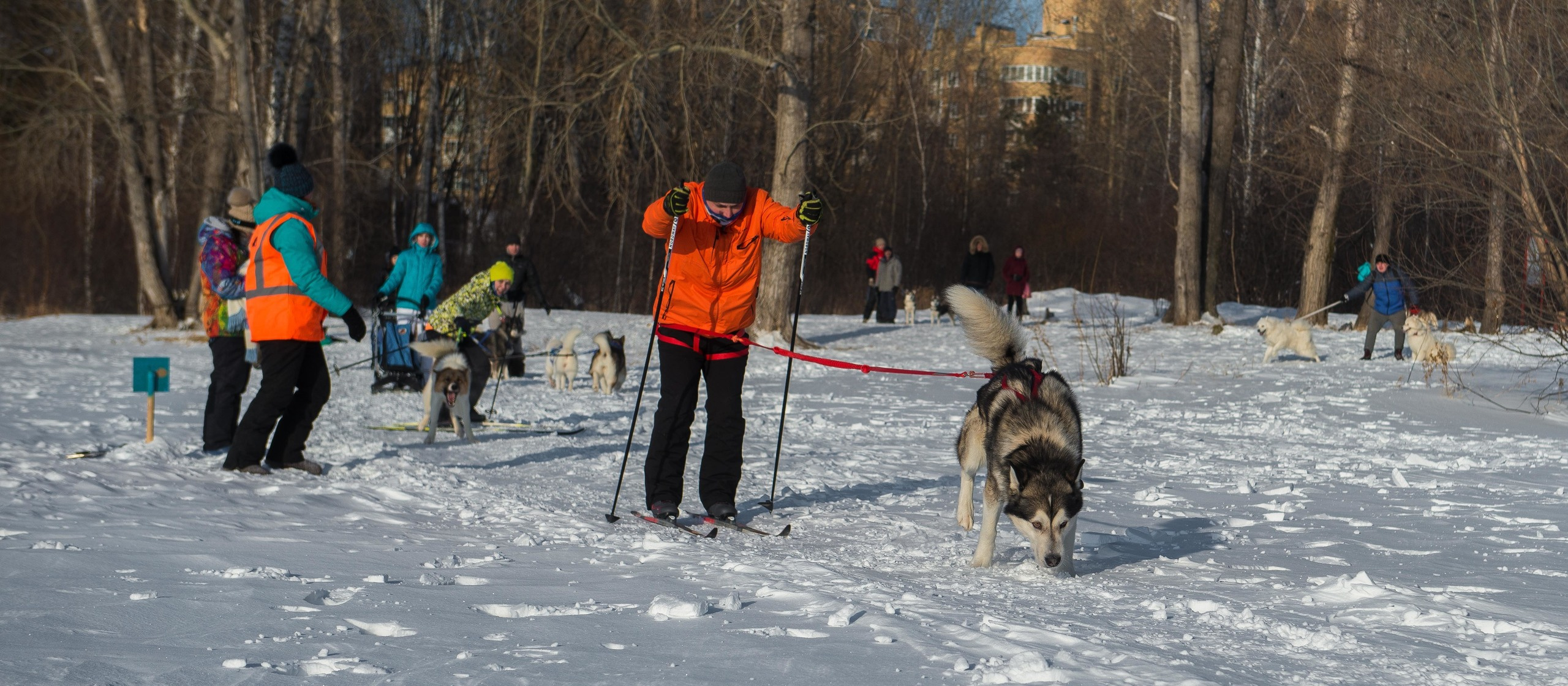 10 лет клубу Хэй-Хэй. Свадебный фотограф на Урале Виктор Соколов