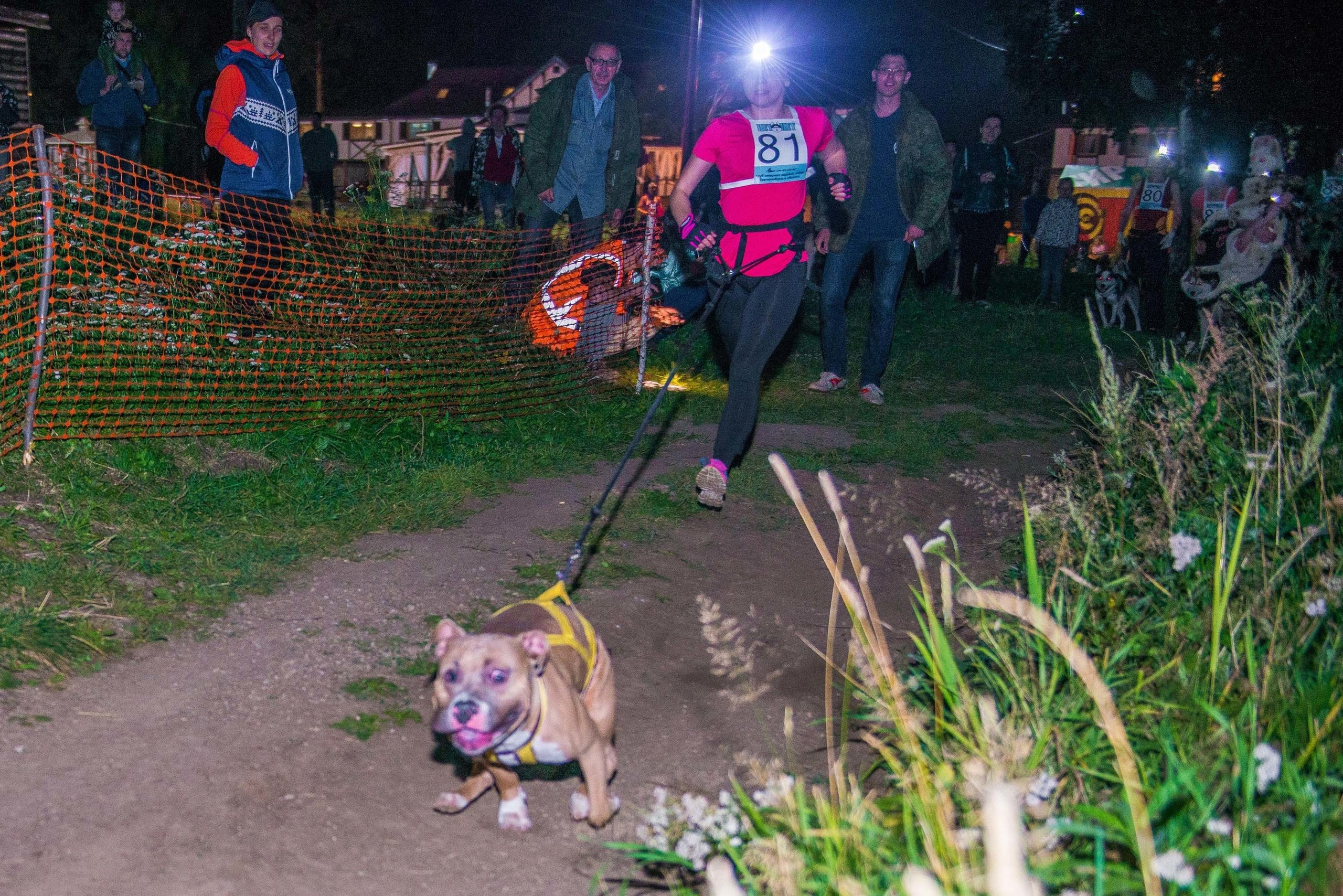 Дог-фестиваль 02.09.2017 Уктус Ночной след. Свадебный фотограф на Урале Виктор Соколов